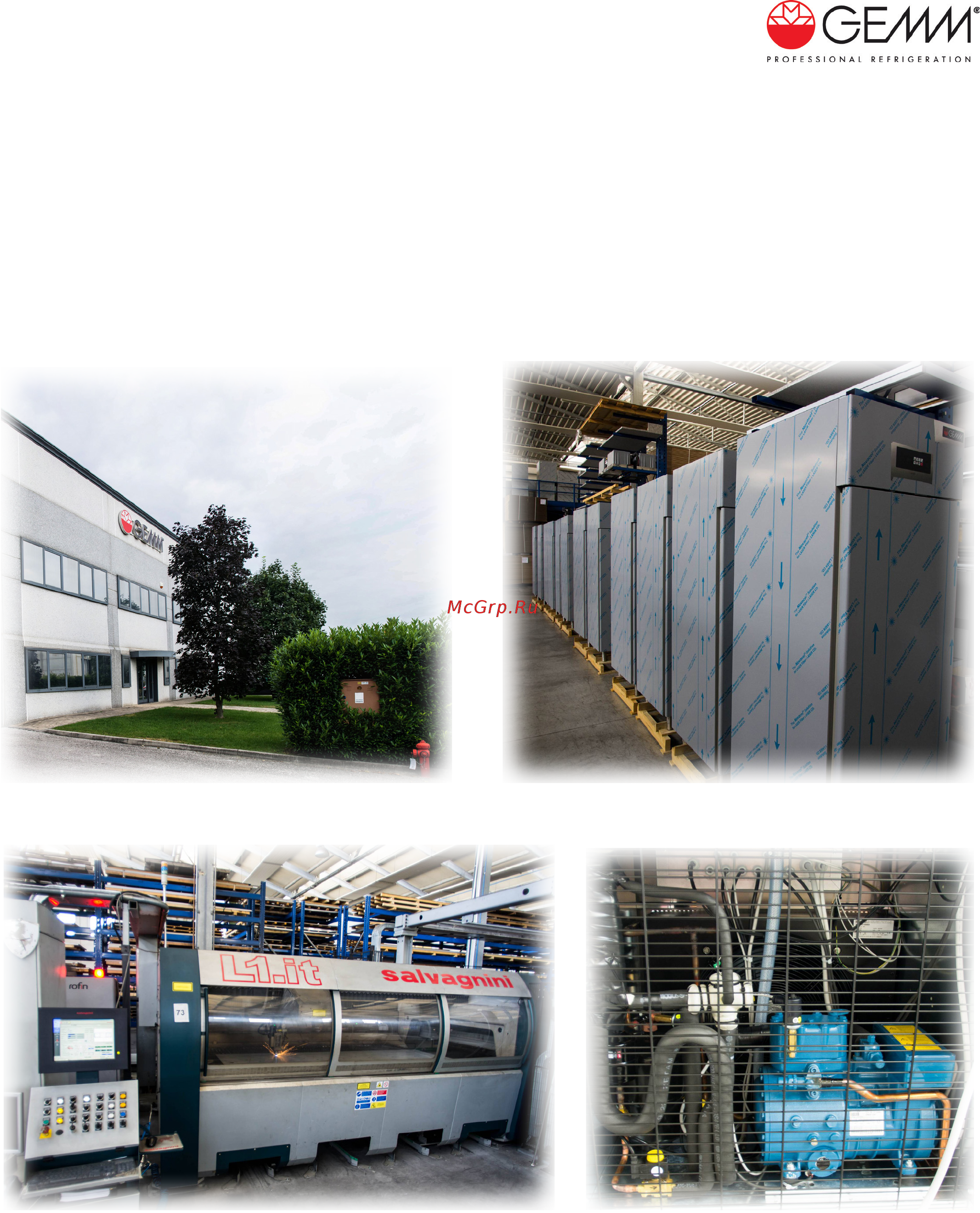 Gemm TAL/27S [3/56] О компании gemm
