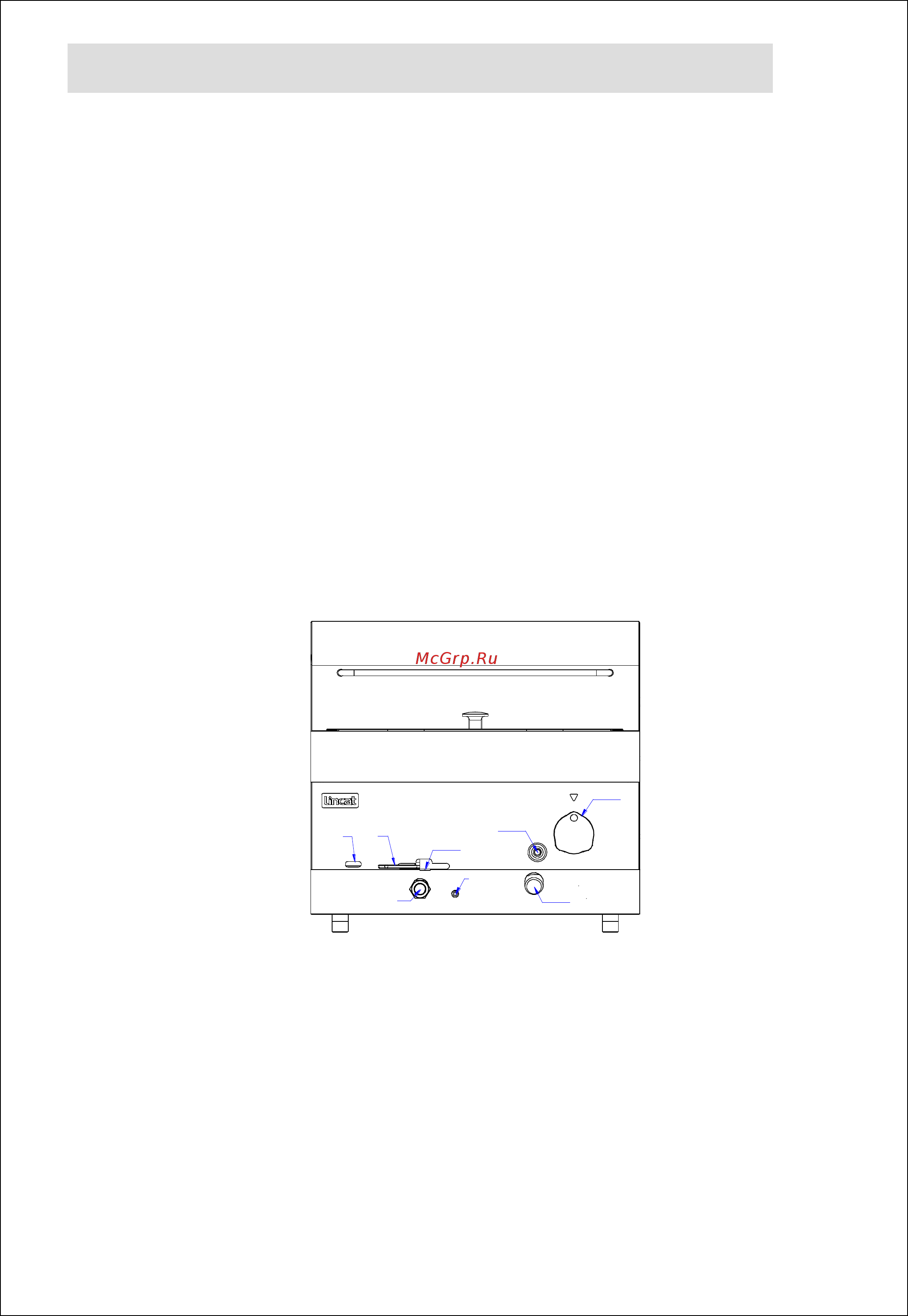 Lincat DF4nFL [8/20] User instruction