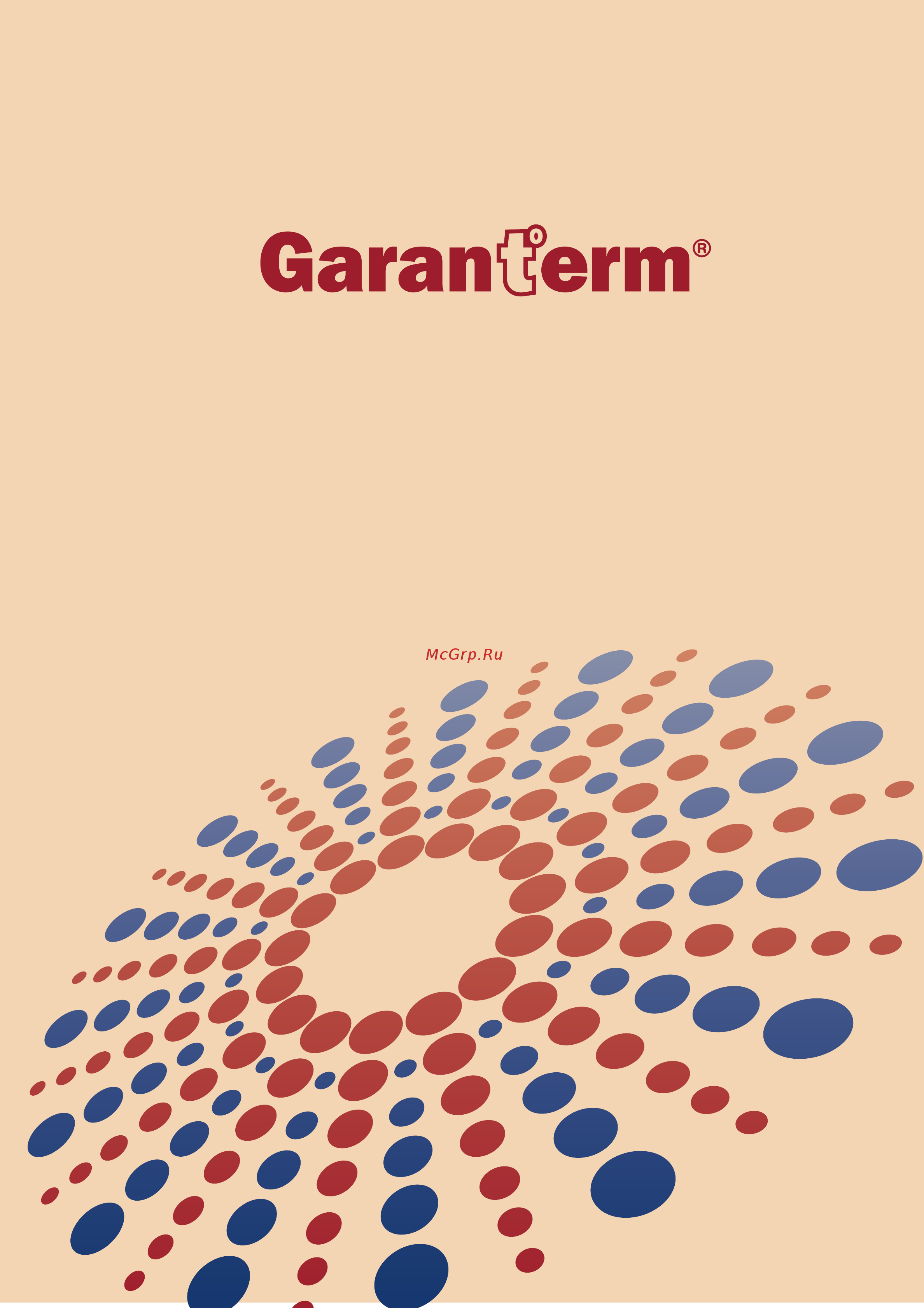 Garanterm 10 SS (MGR 10 U) Руководство пользователя онлайн