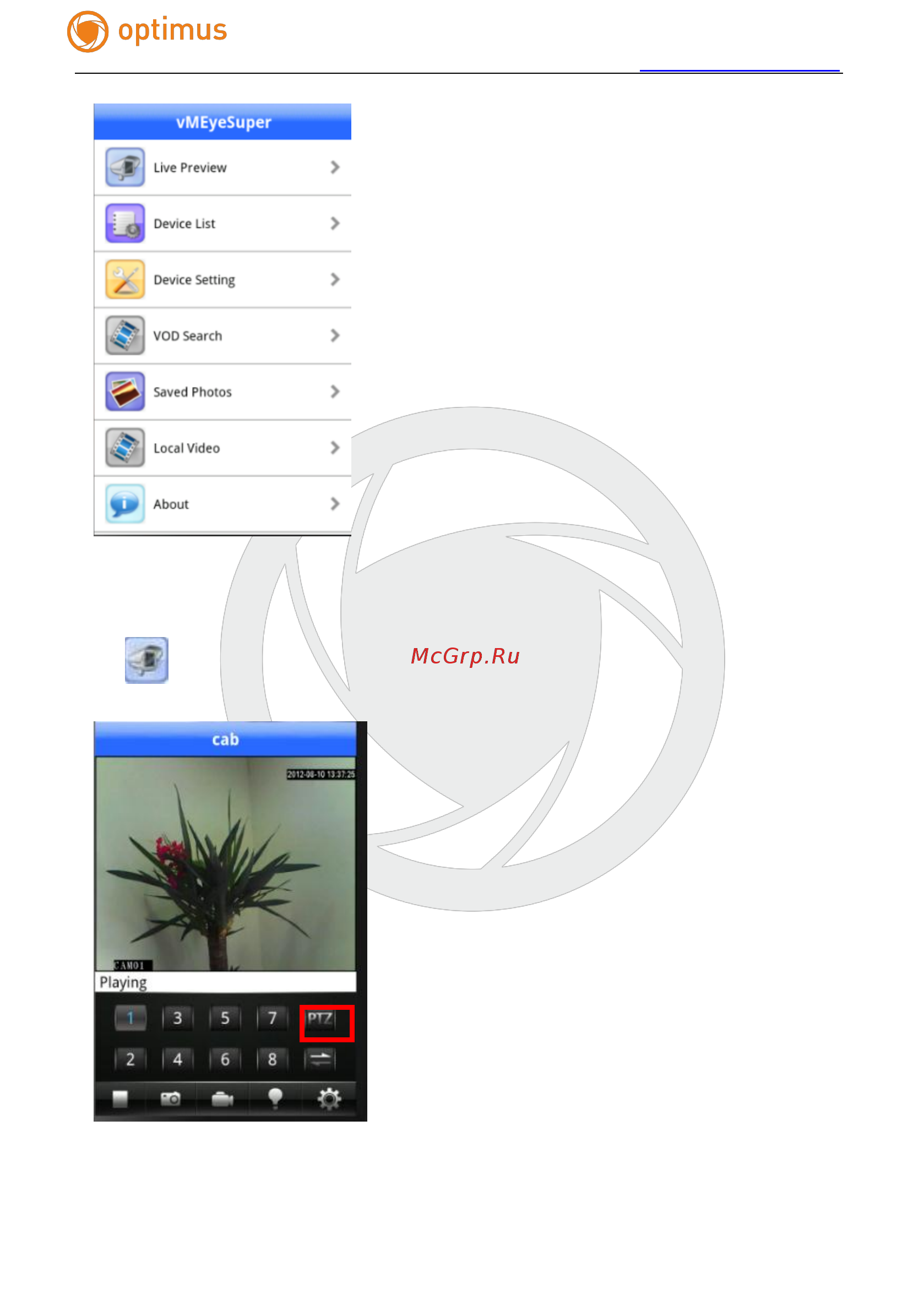 Optimus IP-E021.0(3.6) Инструкция по эксплуатации онлайн [17/31] 282975
