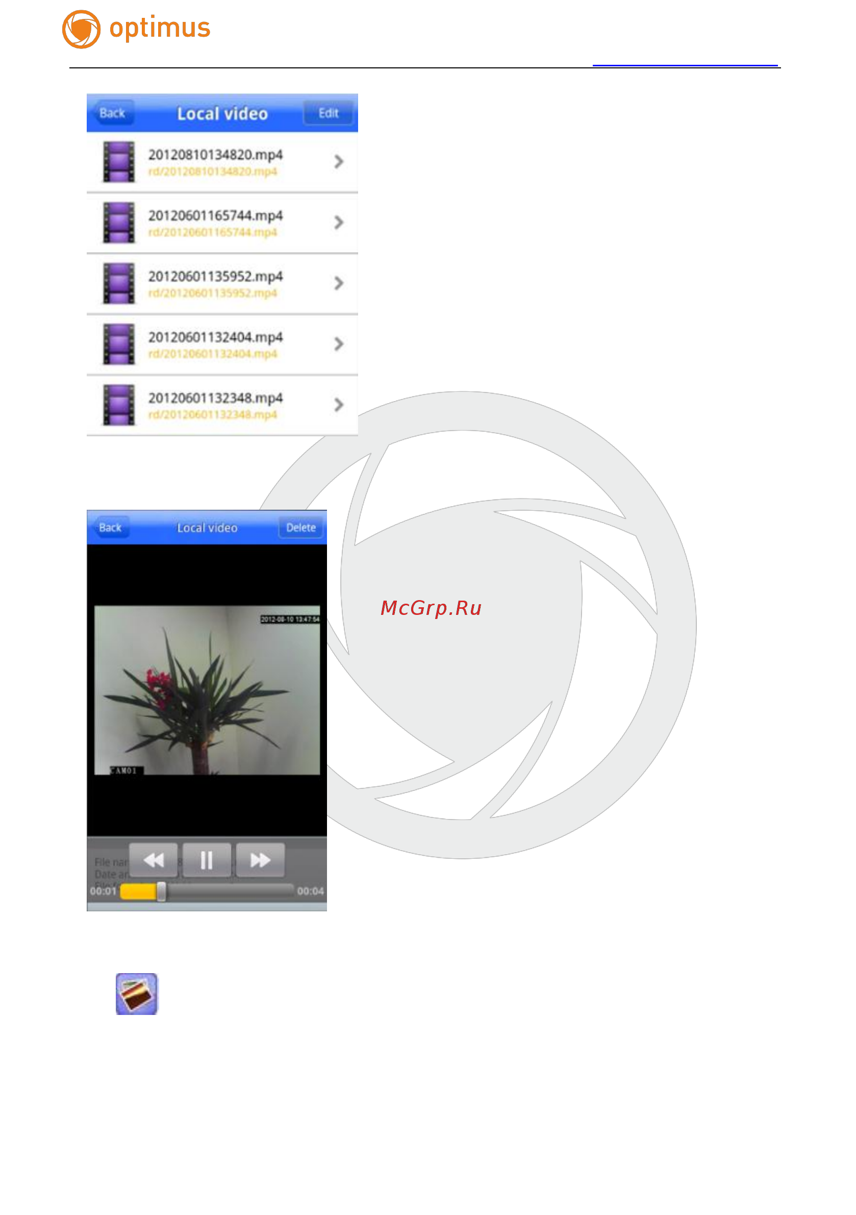 Optimus IP-E011.3(2.8-12)P Инструкция по эксплуатации онлайн [24/31] 282985