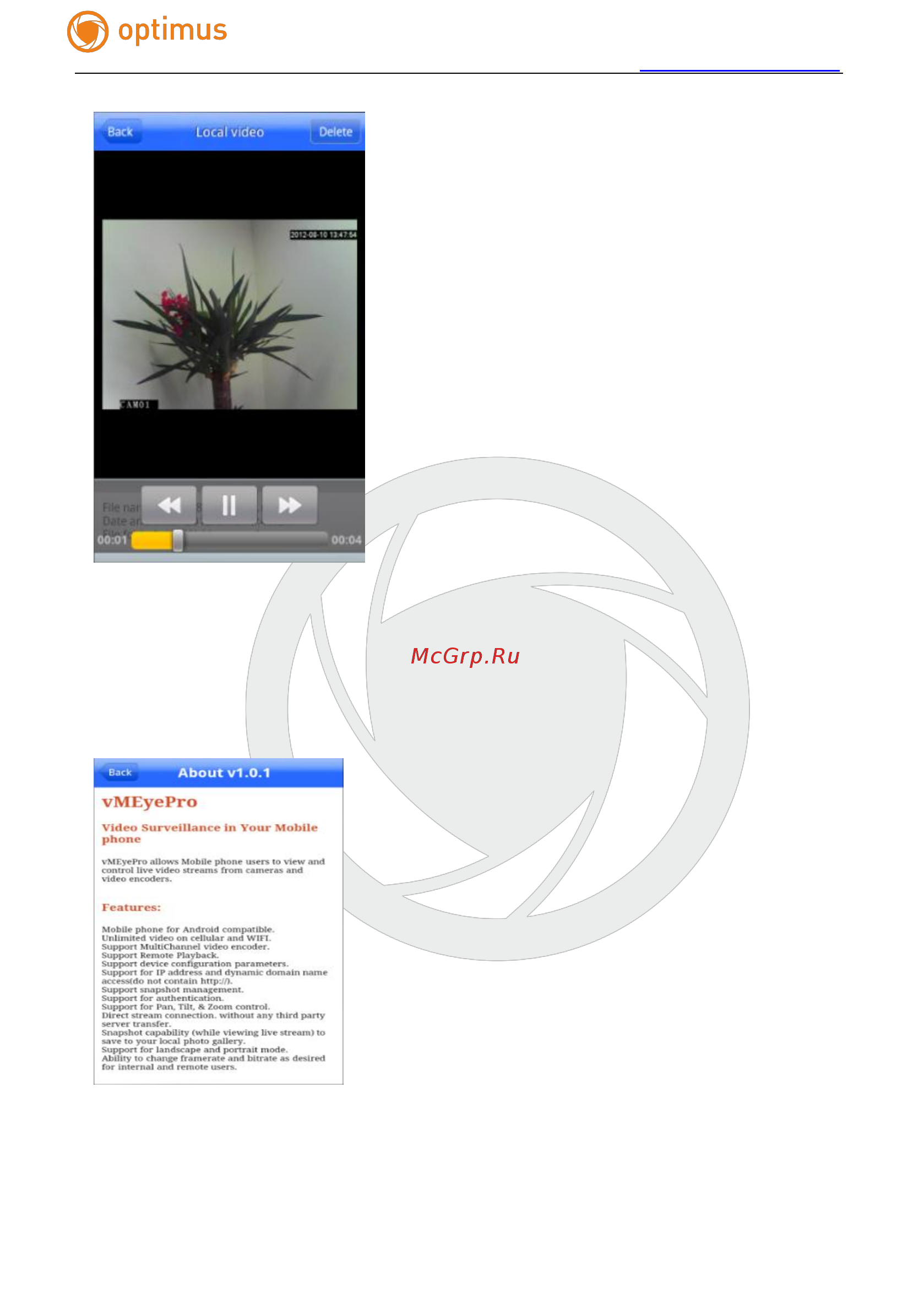 Optimus IP-E011.3(2.8-12)P Инструкция по эксплуатации онлайн [26/31] 282985