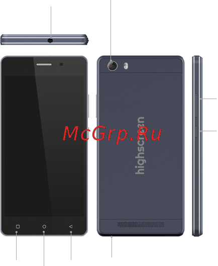 Highscreen Power Ice Max 32Gb Gold [4/20] Содержимое коробки