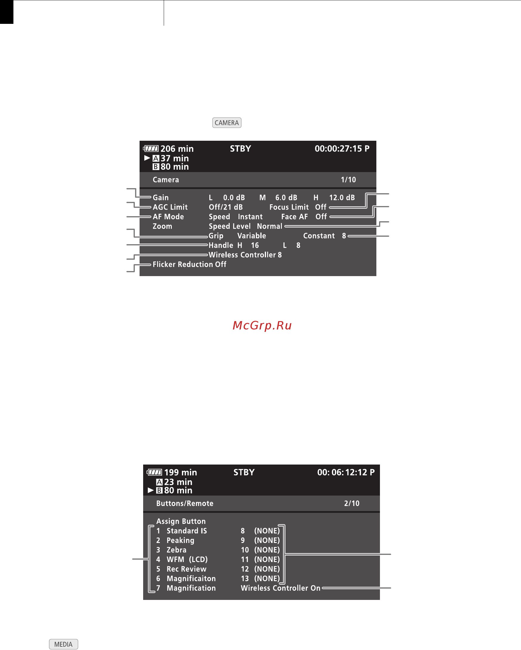 Canon XF 305 Full HD [204/234] Отображение экрана состояния