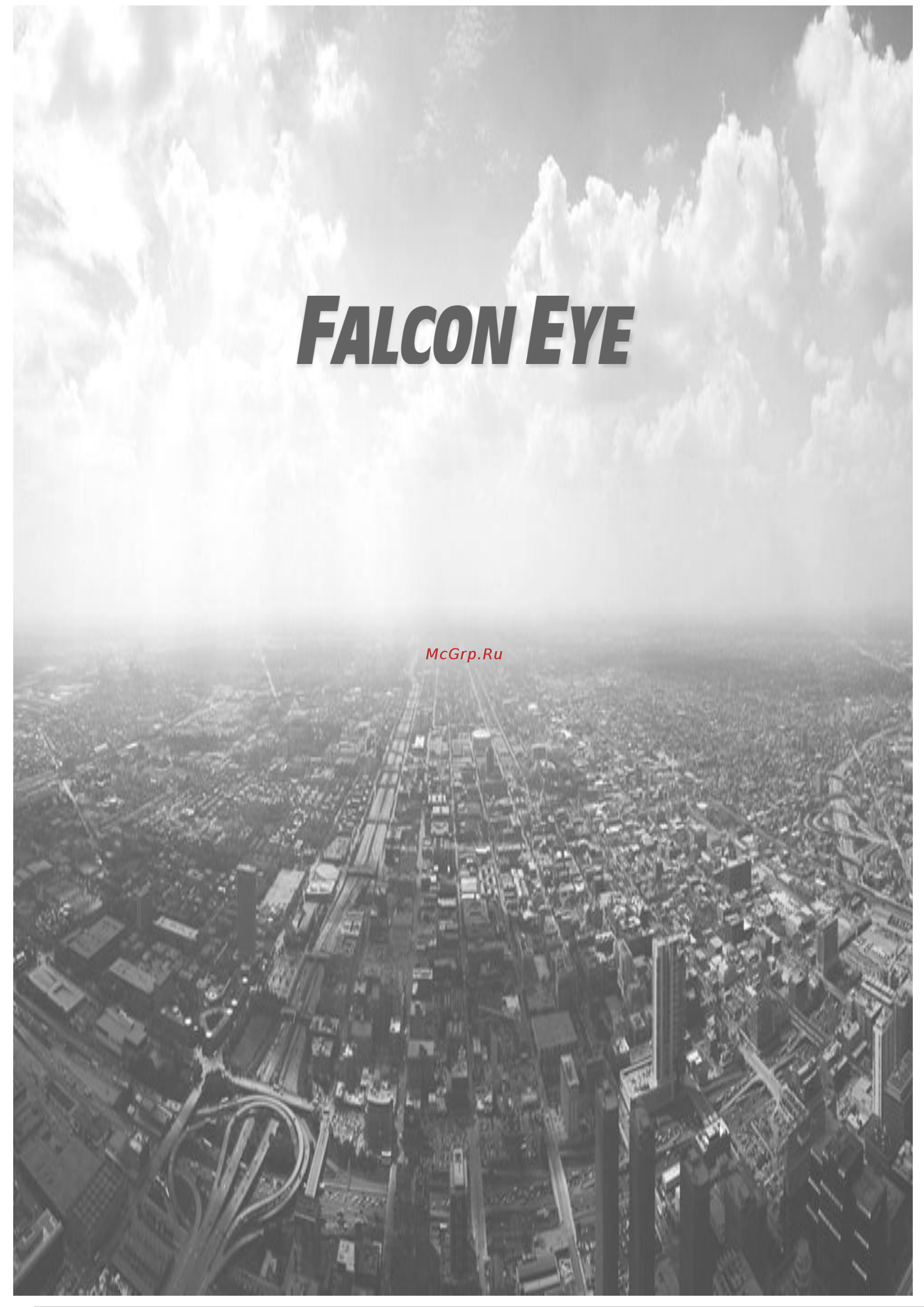 Falcon Eye FE-IPC-DW200P Инструкция по эксплуатации онлайн