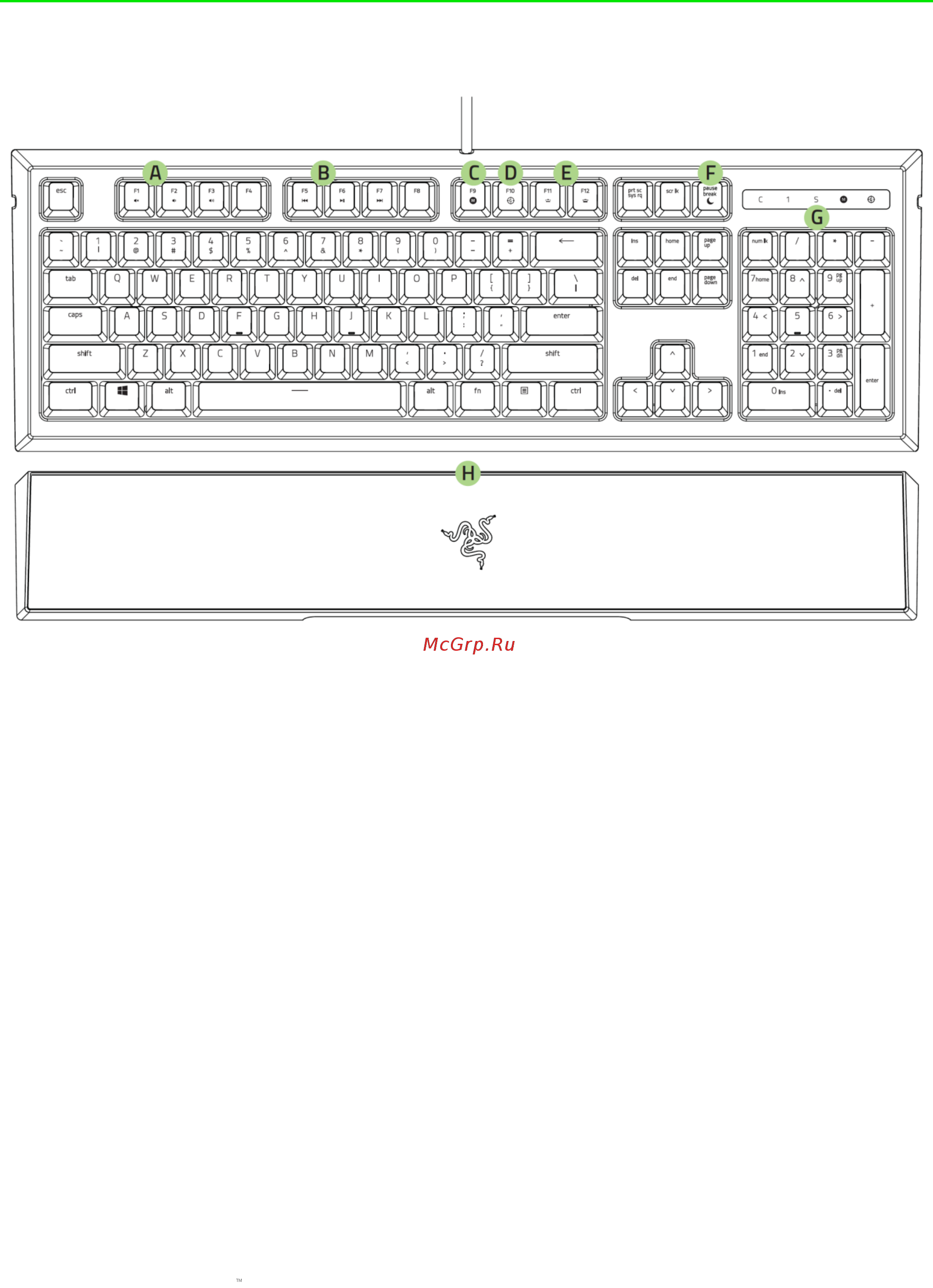 Razer Ornata RZ03-02042300-R3R1 [7/39] Внешний вид устройства