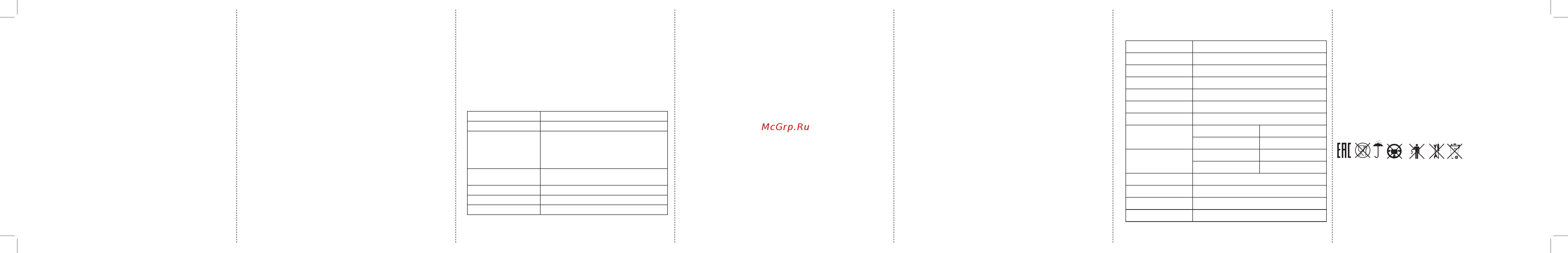 Ritmix RF-2500 4Gb Silver [2/2] Www ritmixrussia ru