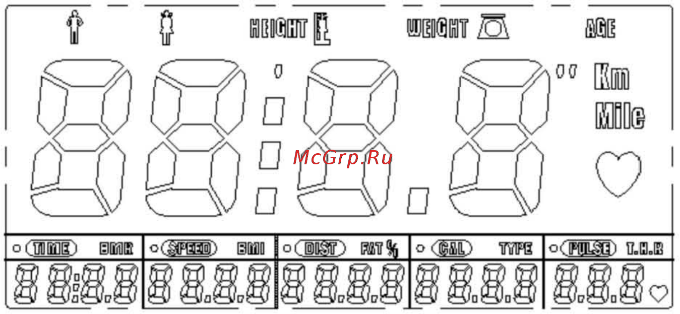 HouseFit HB-8148HP Инструкция по эксплуатации онлайн [7/14] 297023