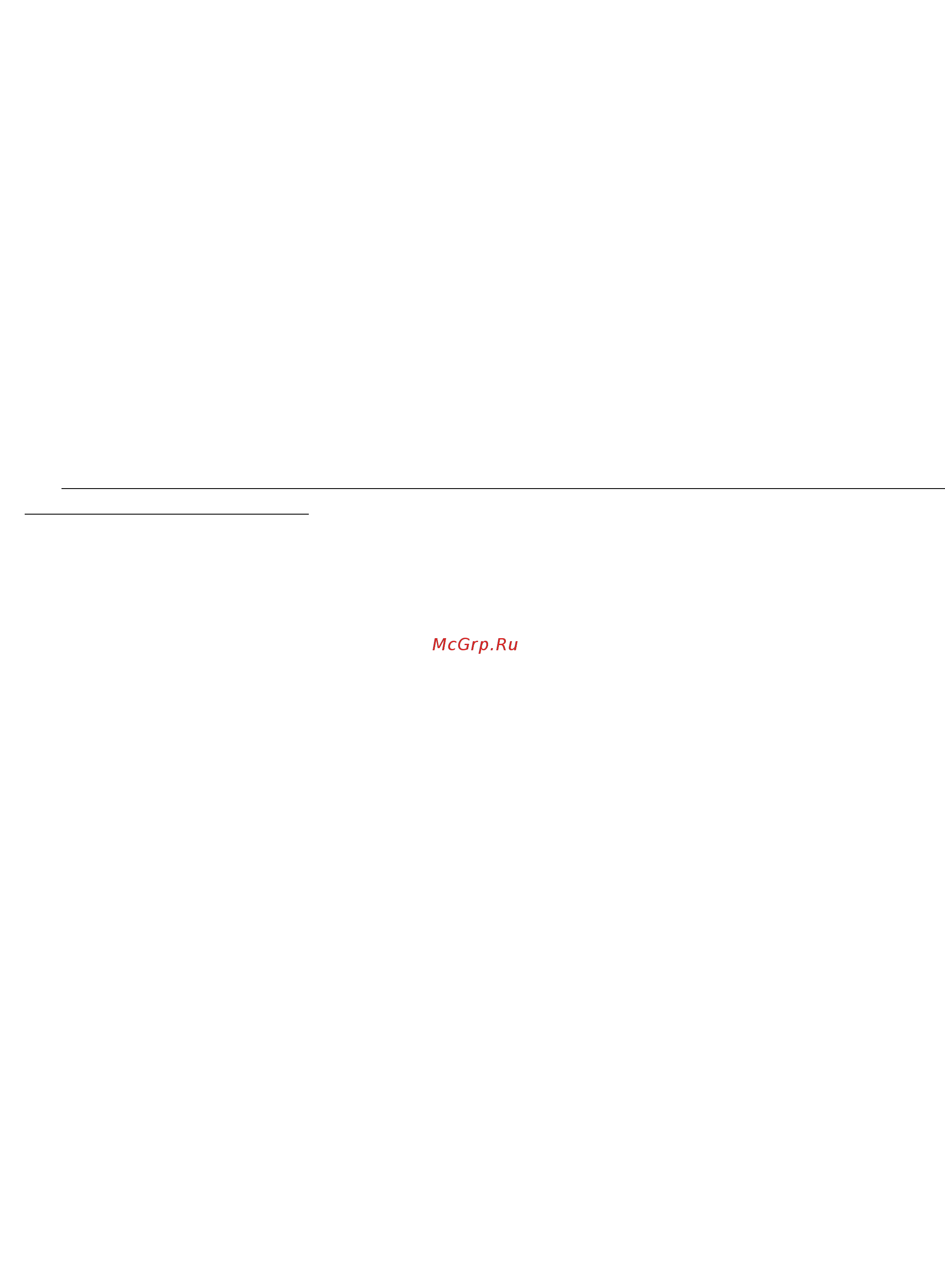 Ricci RGH-6042-1 [12/14] 800 333 21 1