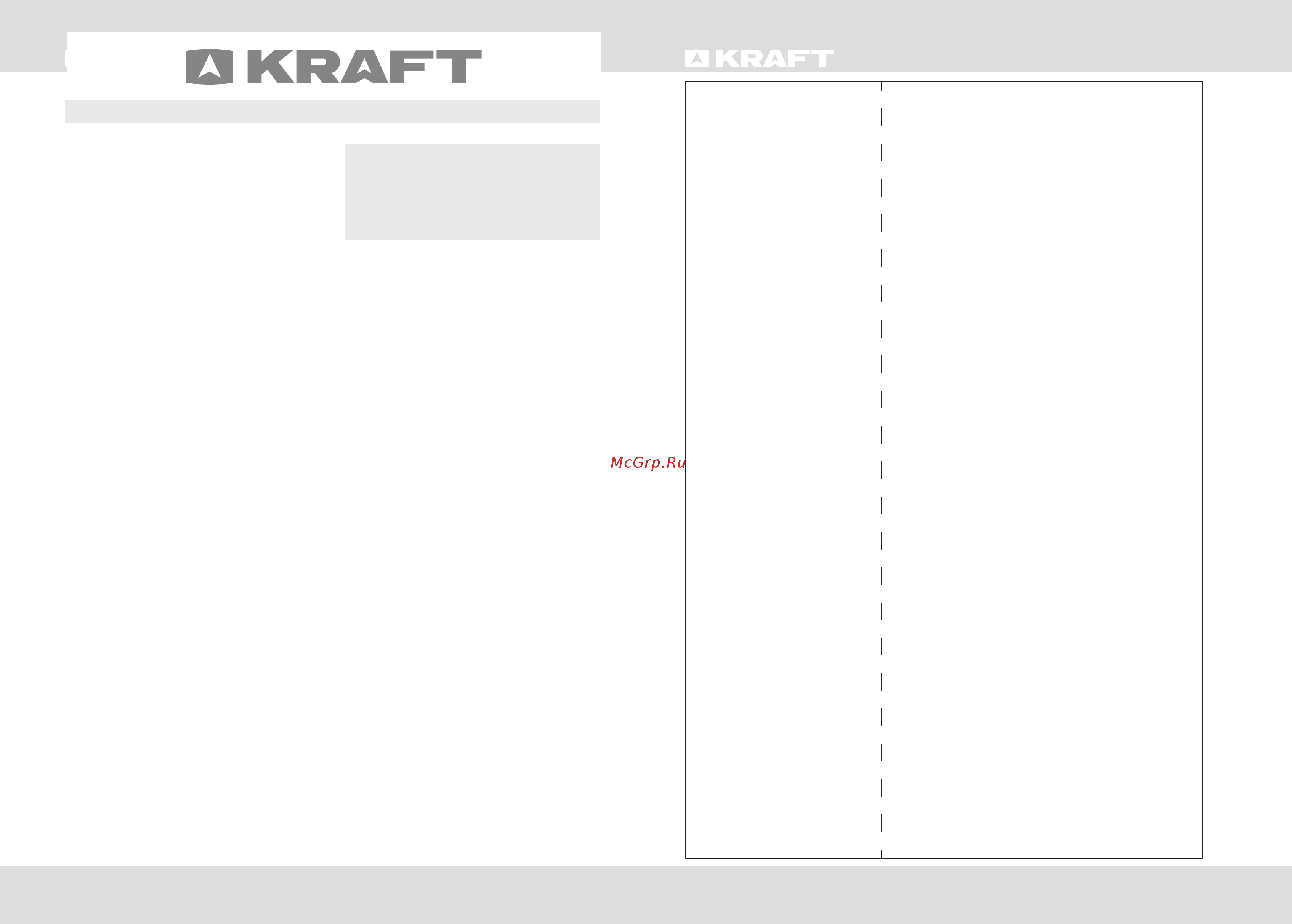 KRAFT BR 50 I СЕРЕБРИСТЫЙ [6/12] Являйте продавцу при покупке товара после покупки товара ответственность