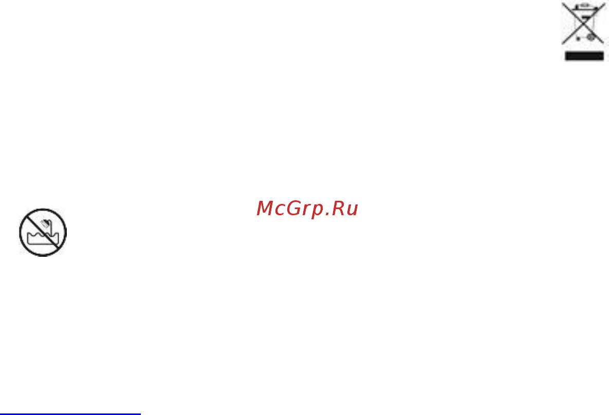 Scarlett Top Style SC-HS60591 Gold/Black Инструкция по эксплуатации онлайн [13/14] 375946