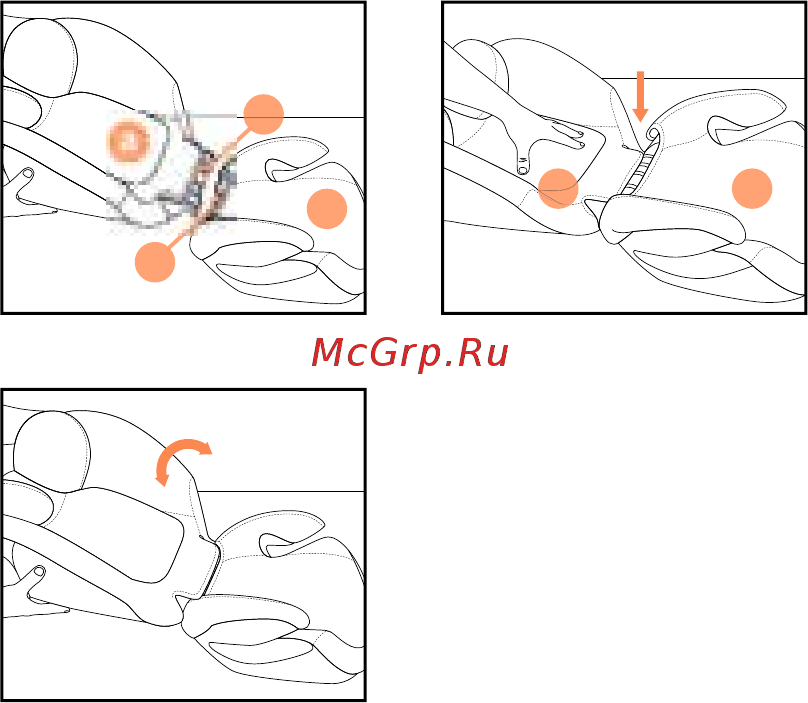 Cybex Solution M-Fix группа 2/3, Passion Pink [57/76] I lk kurulum