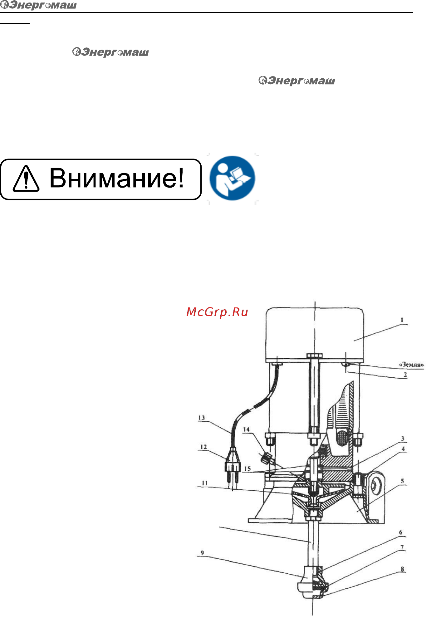 Энергомаш НГ-9751А Инструкция по эксплуатации онлайн [3/14] 308703