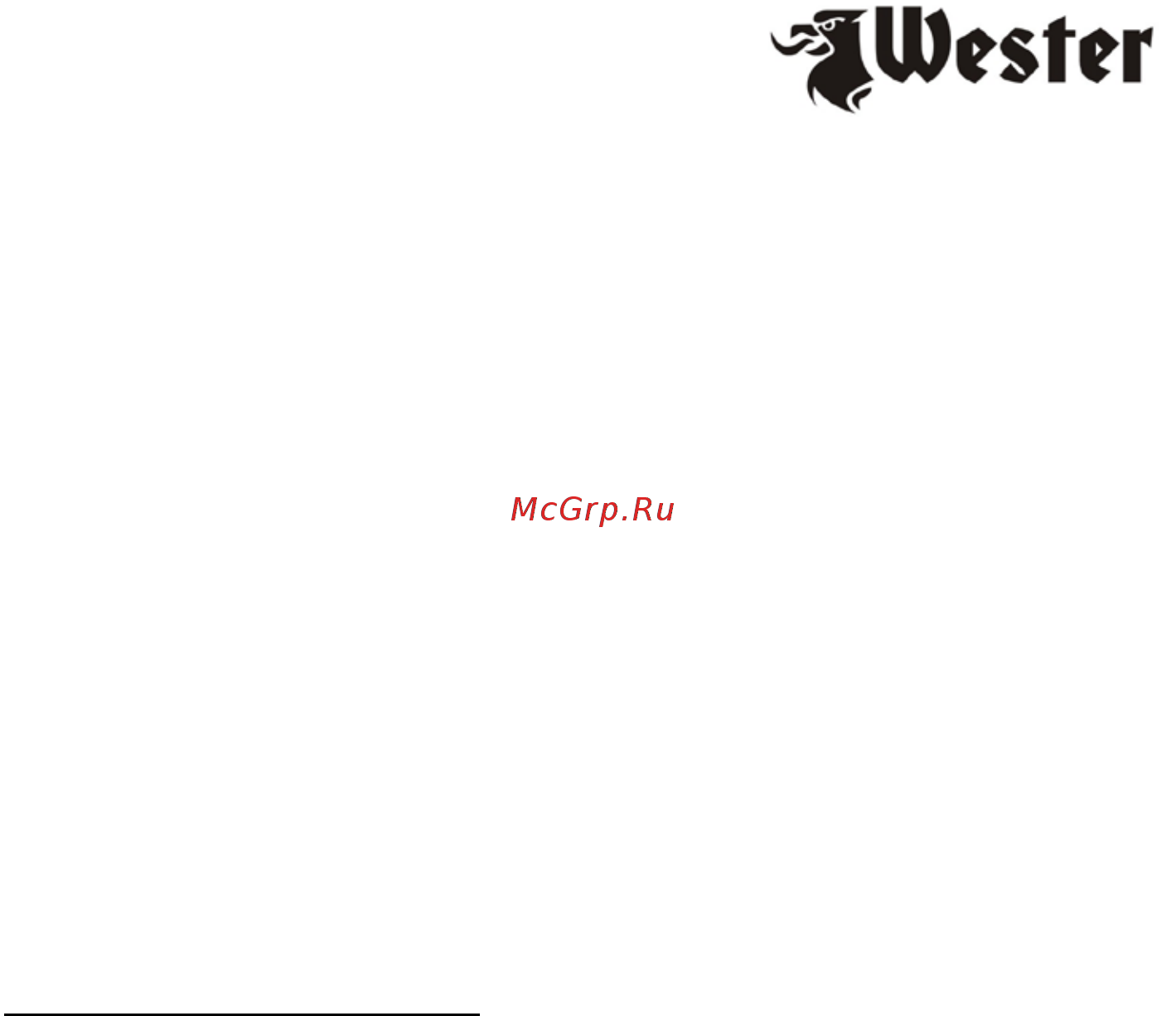 Wester CH30 12B Инструкция по эксплуатации онлайн [2/9] 311049