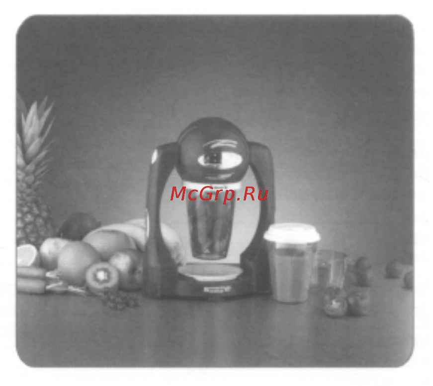 Hilton SMS 8131 Smoothie Инструкция по эксплуатации онлайн