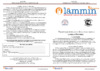 Lammin Premium BM500-80-4 Руководство по монтажу и эксплуатации