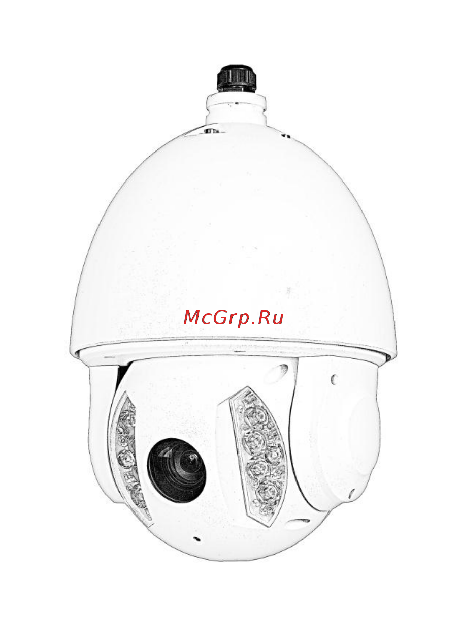 RVi RVi-IPC62Z30-PRO (4.3-129 мм) Инструкция по эксплуатации онлайн
