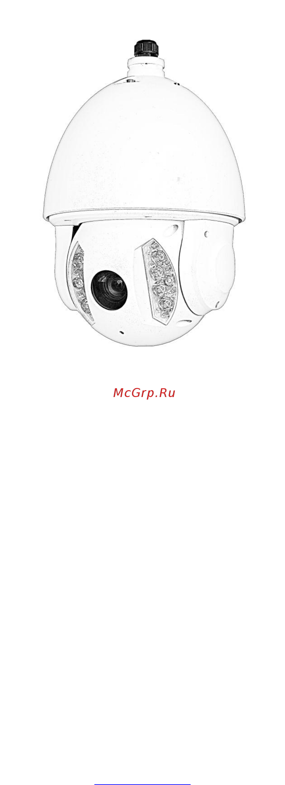 RVi RVi-IPC62Z30-PRO (4.3-129 мм) [31/42] Ip бейнекамерасын жылдам