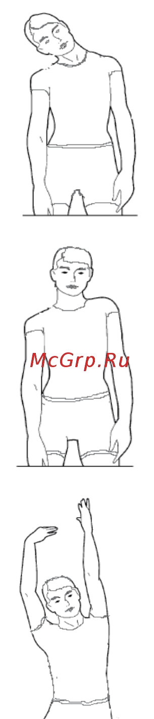 Clear Fit Enjoy TM 8.25 [10/23] Разминка и восстановление