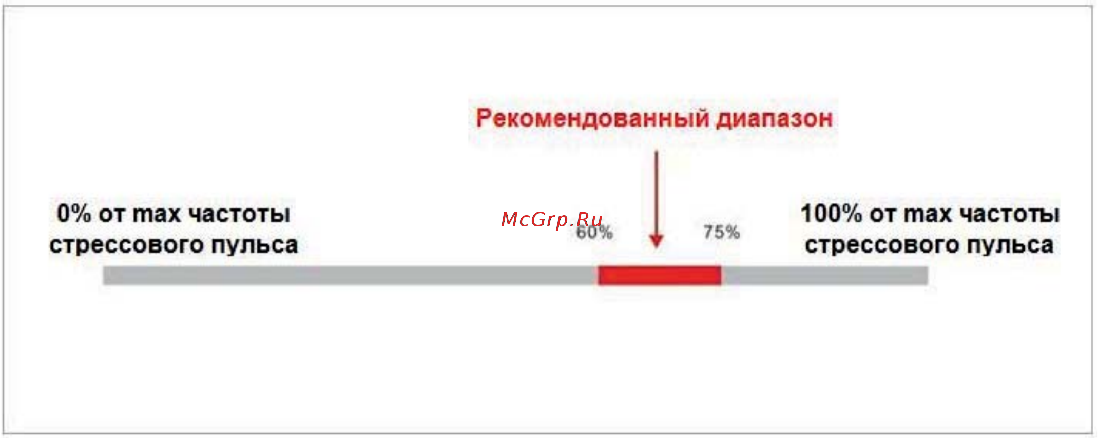 Clear Fit Enjoy TM 8.25 [8/23] Тренировка