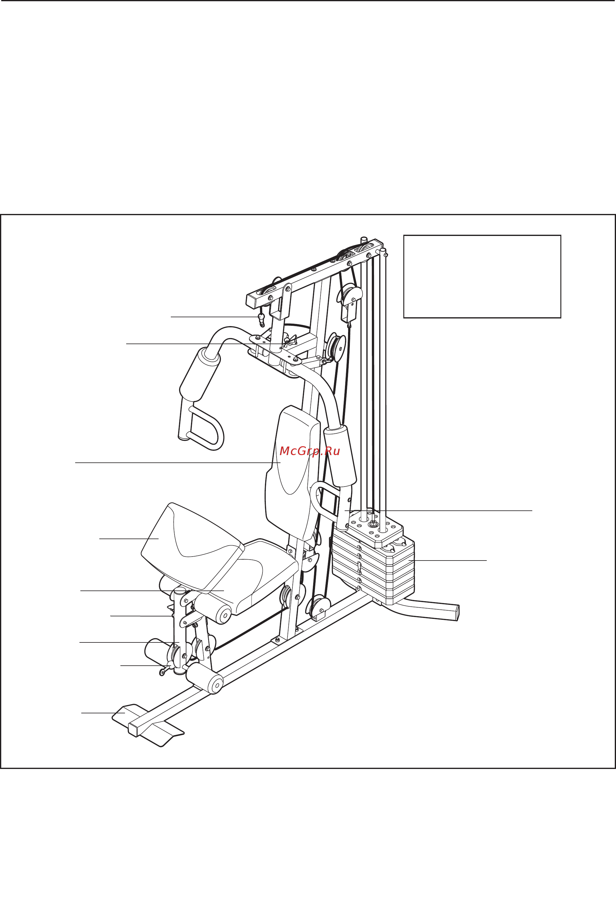 Weider 2980 X [4/28] Перед тем как начать