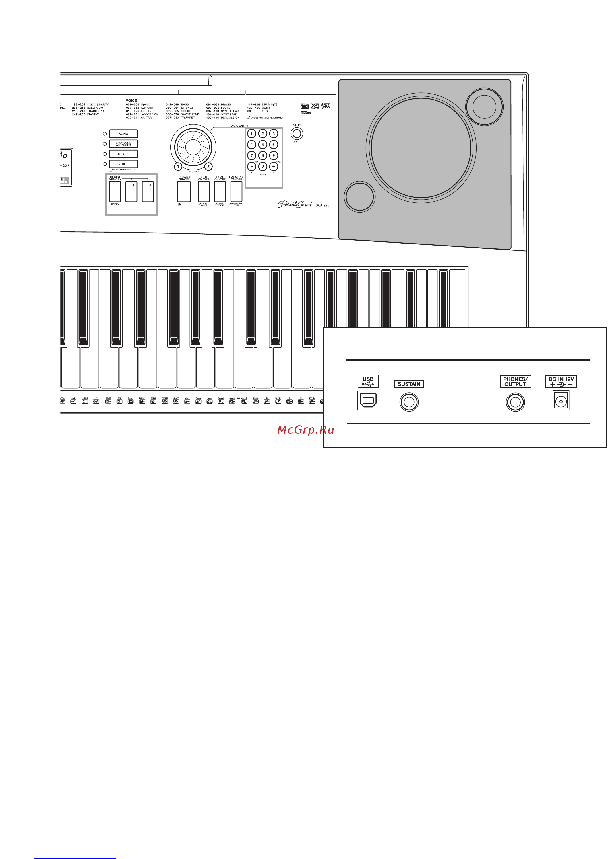Yamaha DGX-220 [5/52] Rear panel