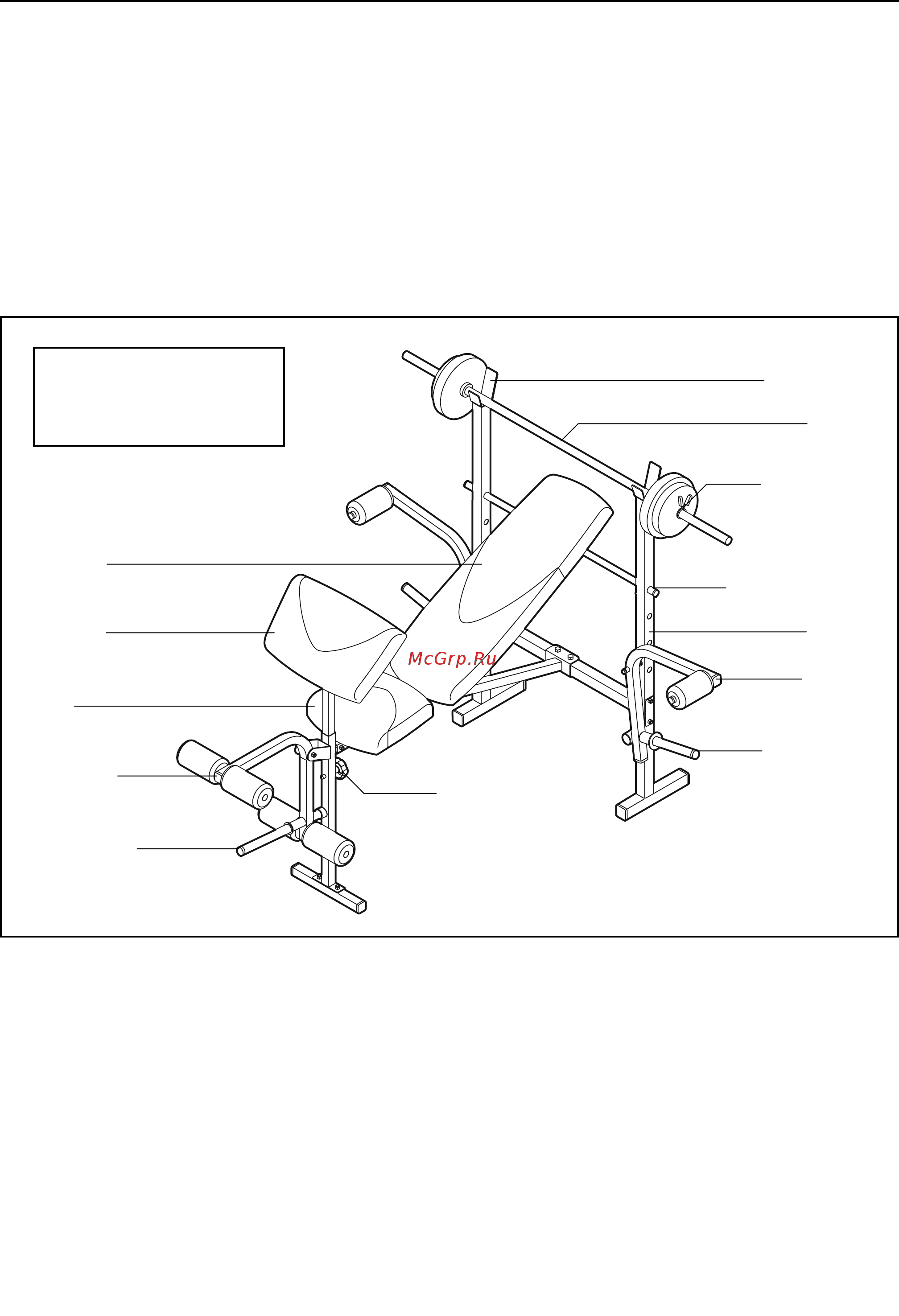 Weider Pro 256 [4/16] Перед тем как начать