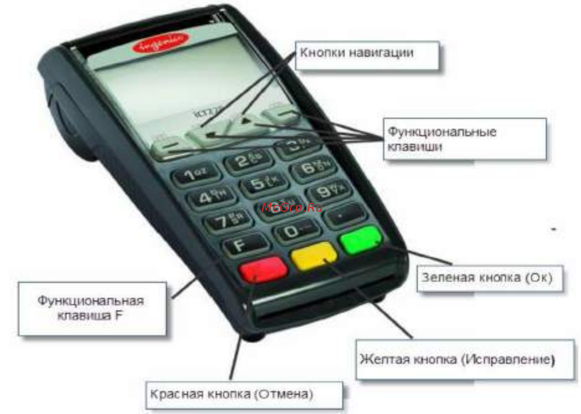 Ingenico IPP320 Инструкция по эксплуатации онлайн [3/14] 320489