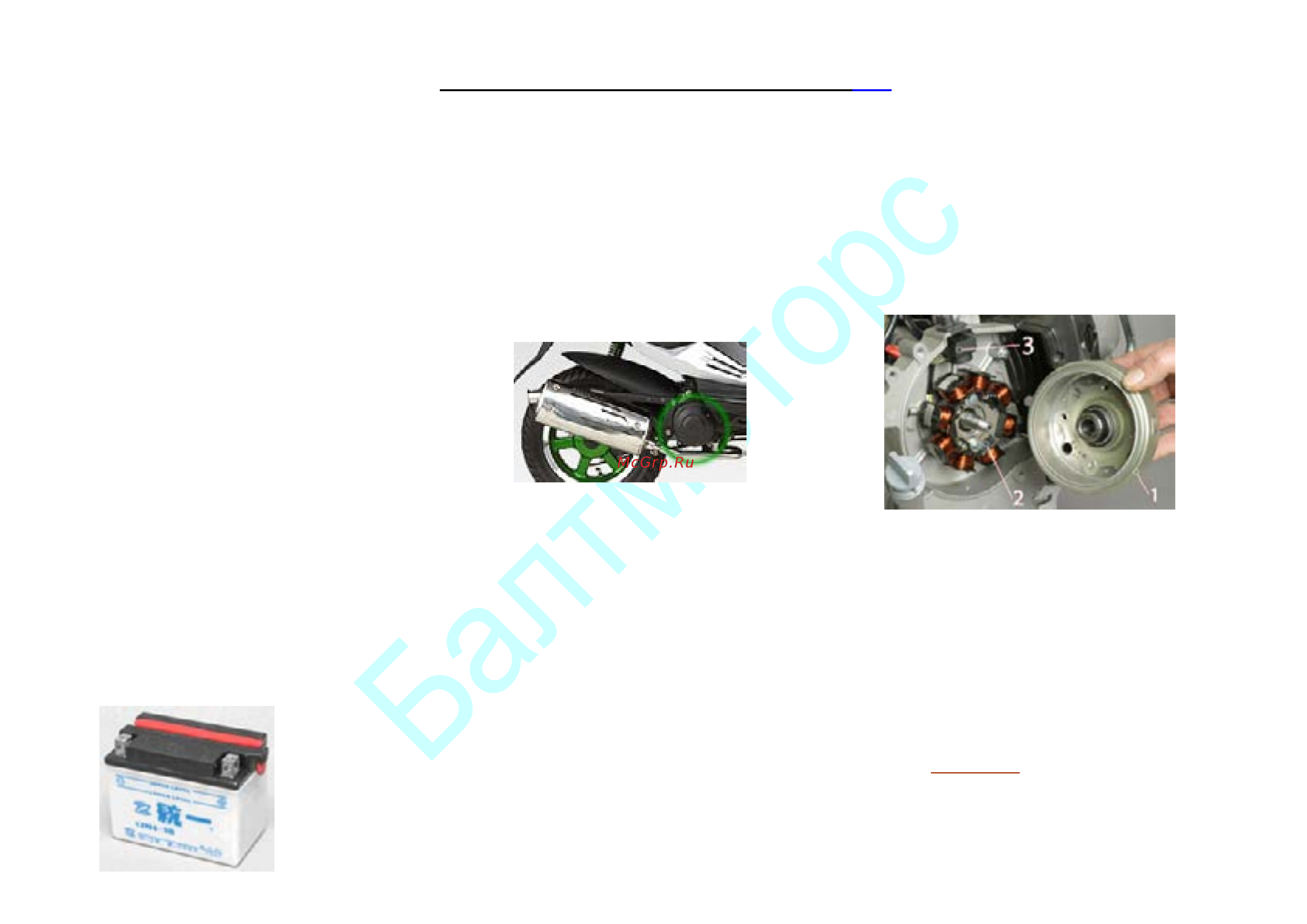 Baltmotors Hiker 50 DD Sport [31/84] Электрика скутера