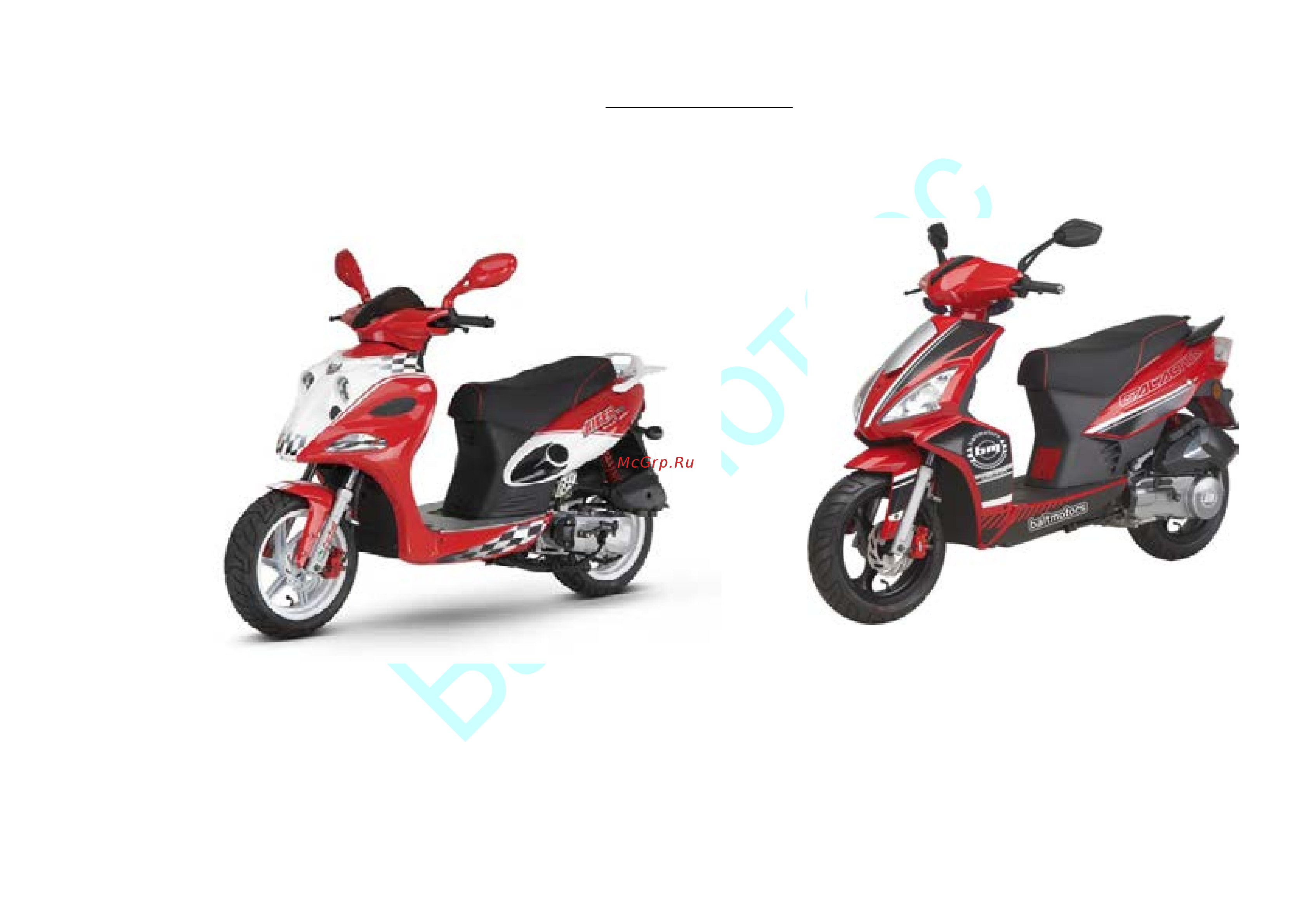 Baltmotors Hiker 50 DD Sport Service Manual онлайн [5/84] 209850