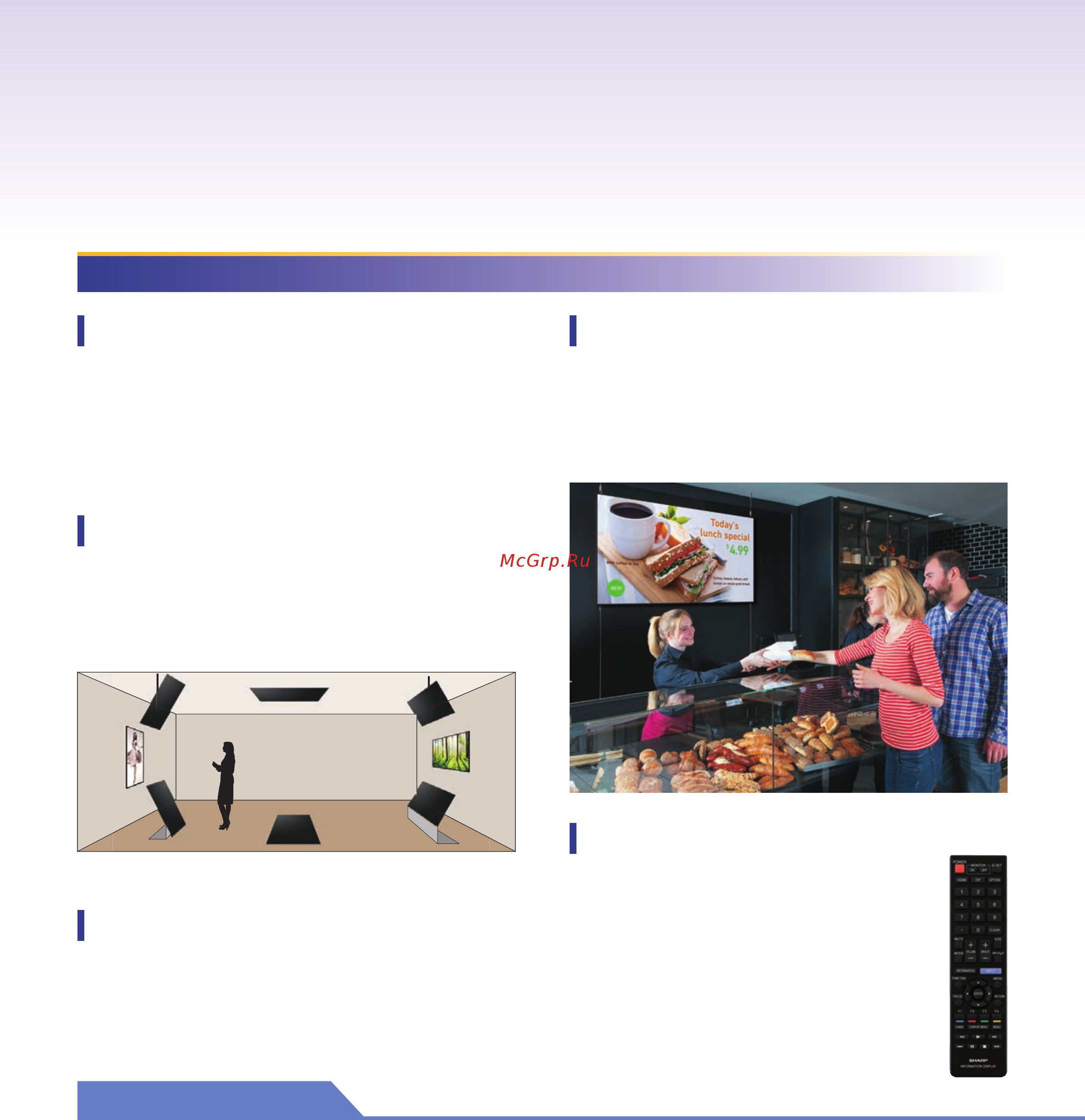 Sharp PN-R556 [2/4] Expandable interface