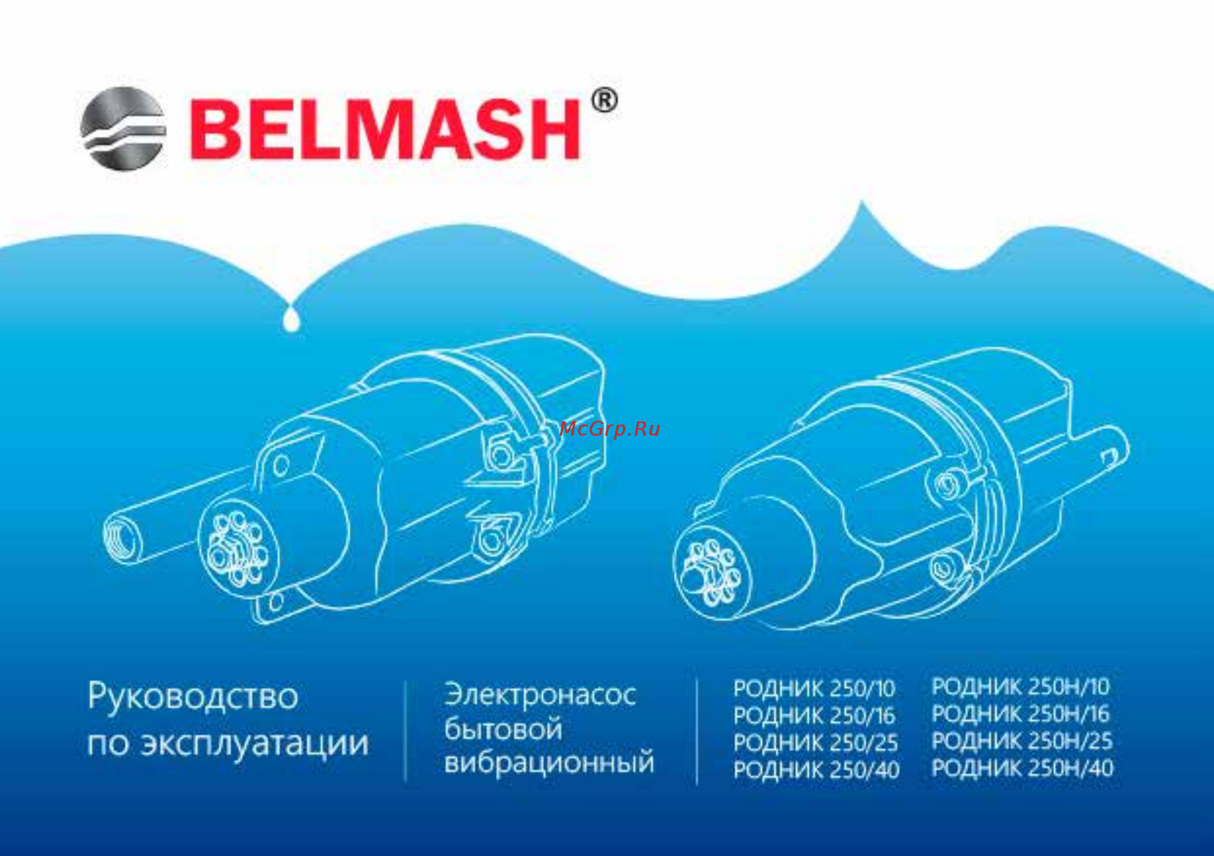 Белмаш РОДНИК 250Н/40 (N008A) Инструкция по эксплуатации онлайн