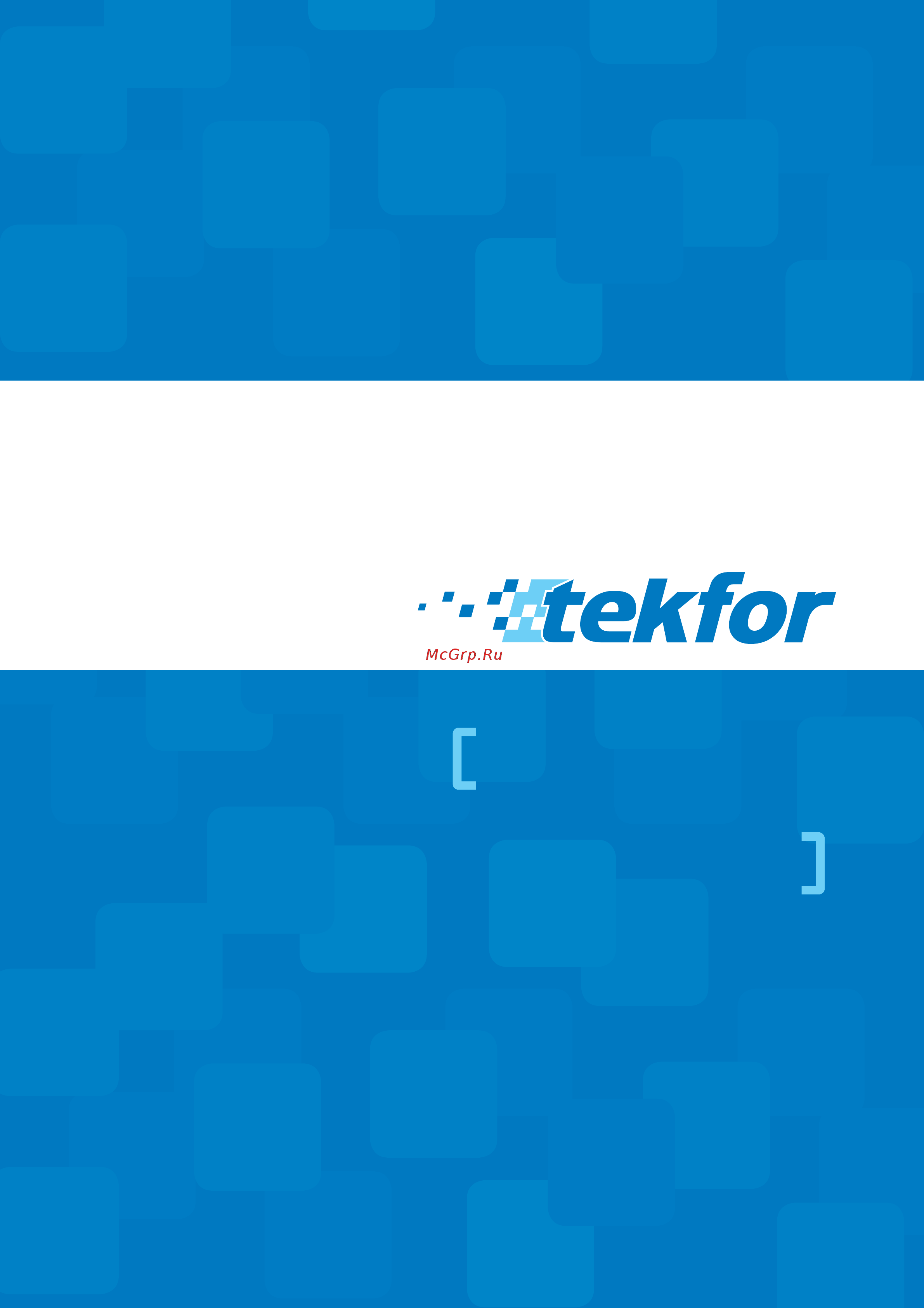 TEKFOR BNN 40-24-1 Инструкция по эксплуатации онлайн