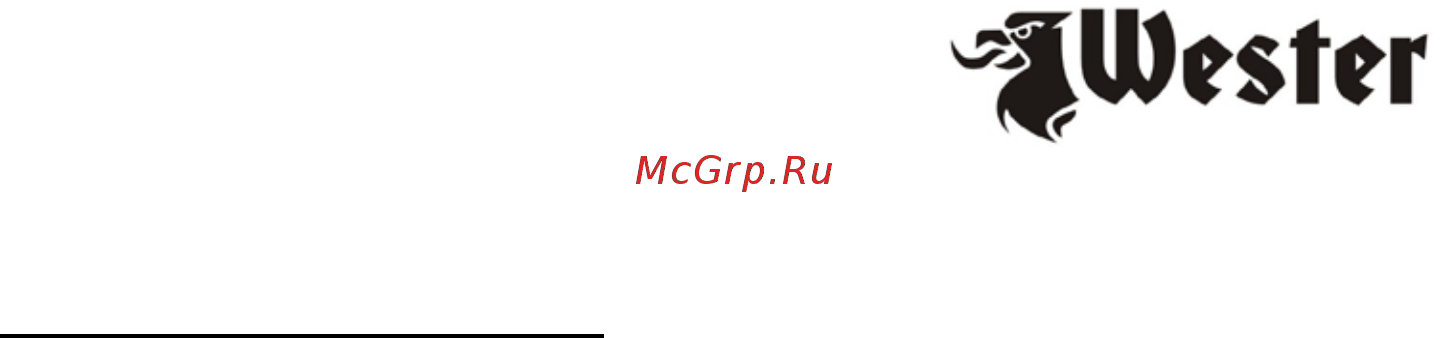 Wester ММА250Н Инструкция по эксплуатации онлайн [10/17] 330309