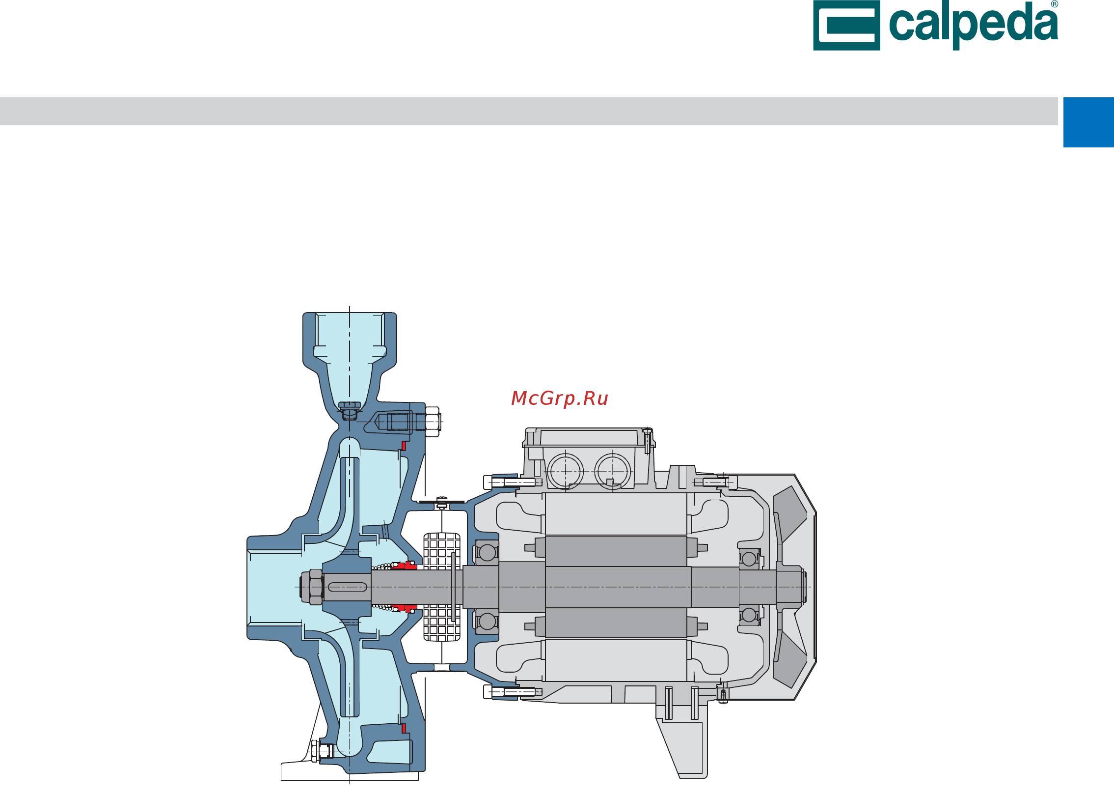 CALPEDA NM 100/200D/A 400/690/50 Hz [11/12] Вид в разрезе