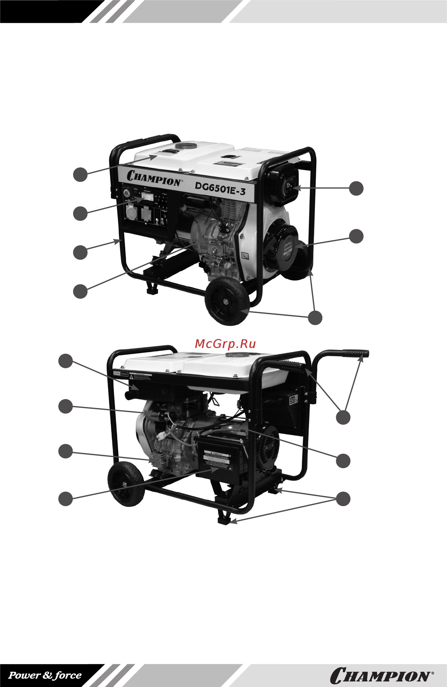 Champion DG6501E-3 [12/36] Основные узлы и органы
