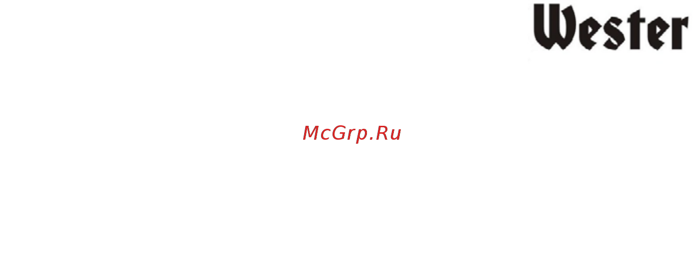 Wester GNB6500ATS Инструкция по эксплуатации онлайн [2/28] 329638