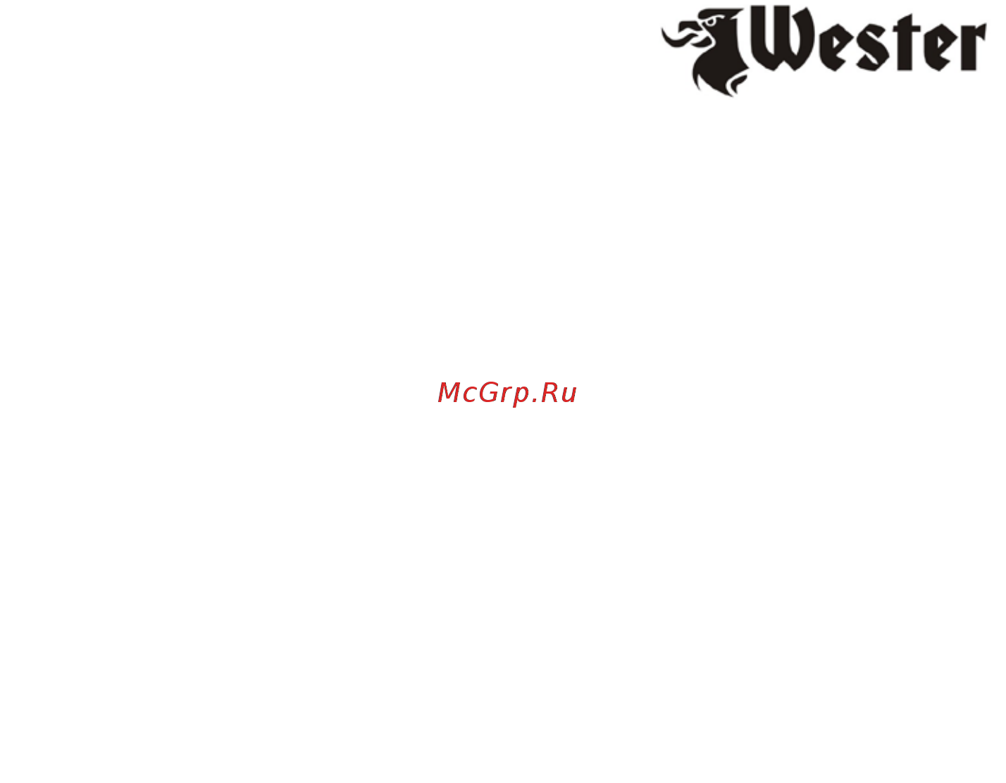 Wester PSW250 Инструкция по эксплуатации онлайн [2/11] 331884