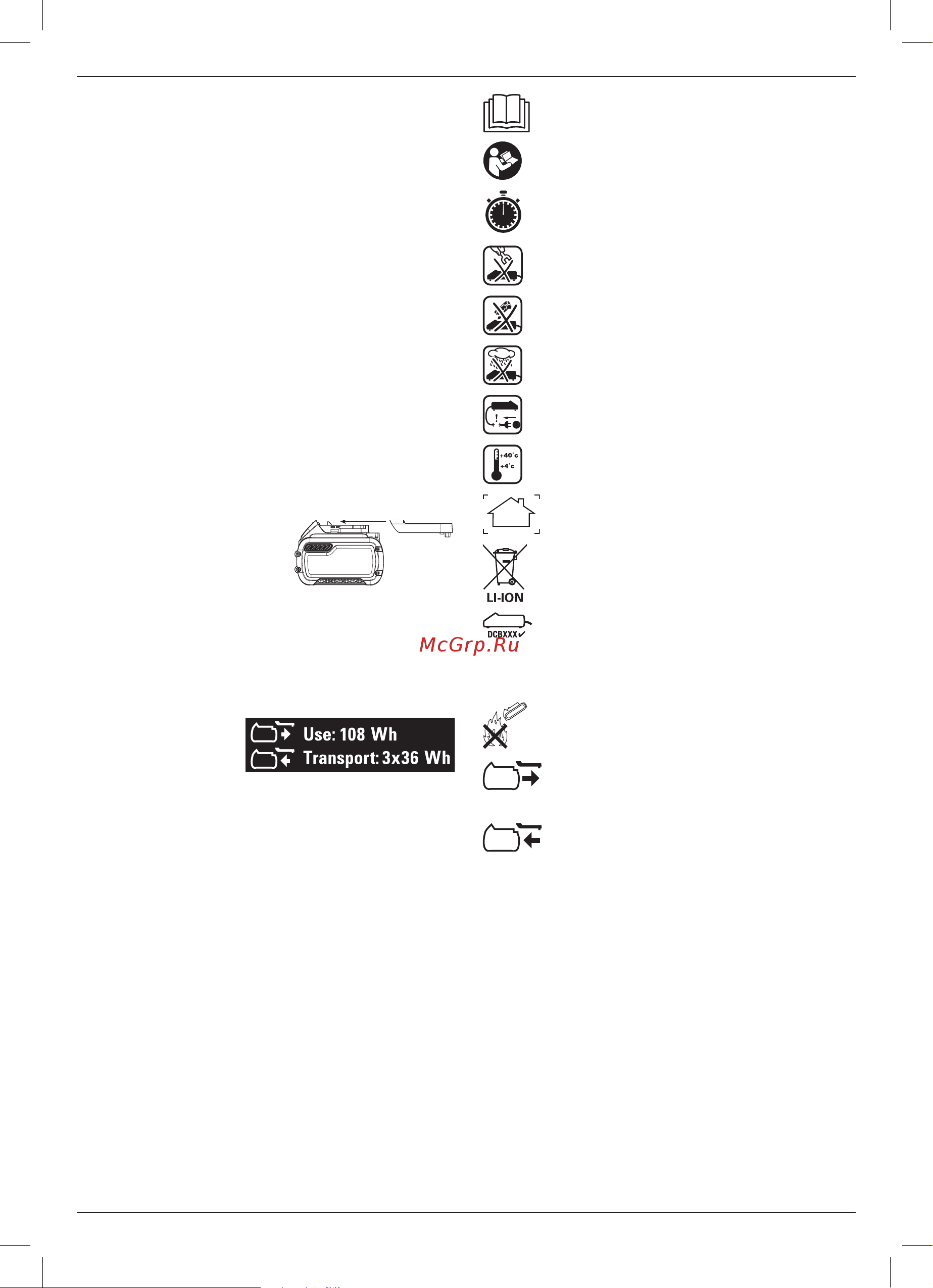 Dewalt XRP DCD991NT-XJ [11/16] Package contents