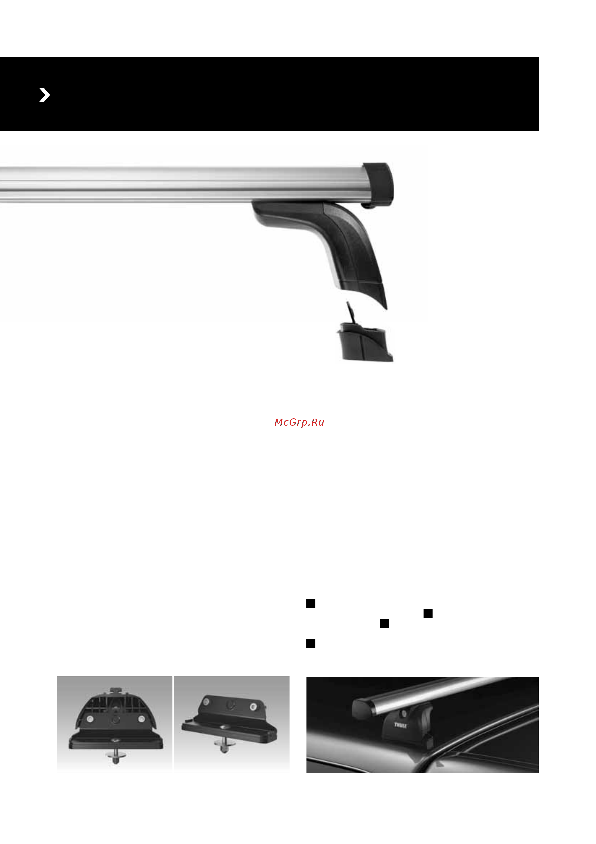 Thule 395 [4/127] Thule professional