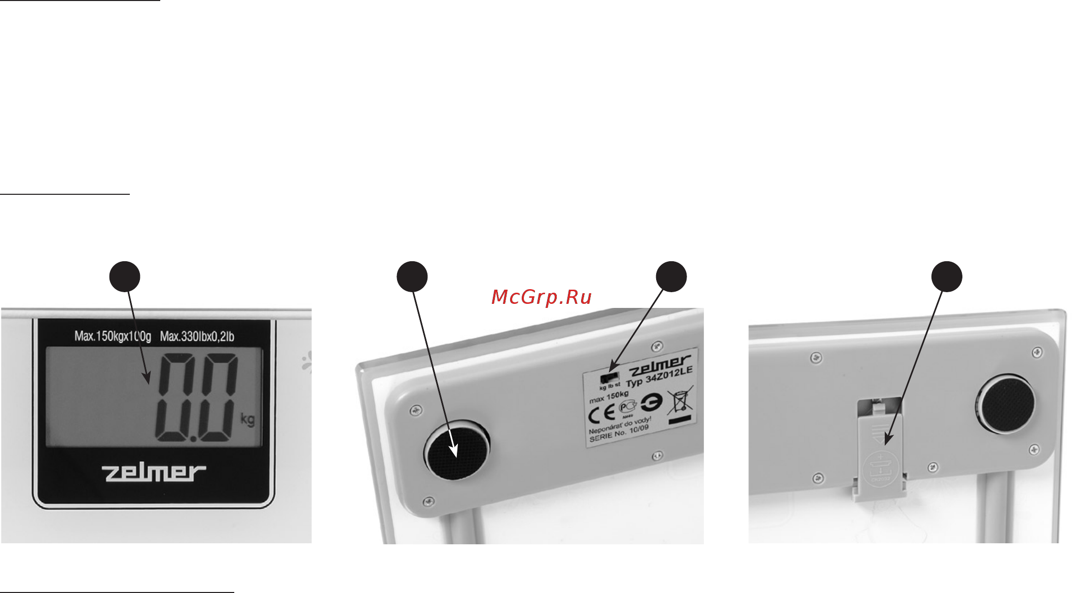 Zelmer Slim ZBS15100 (34Z012) [3/40] Budowa wagi