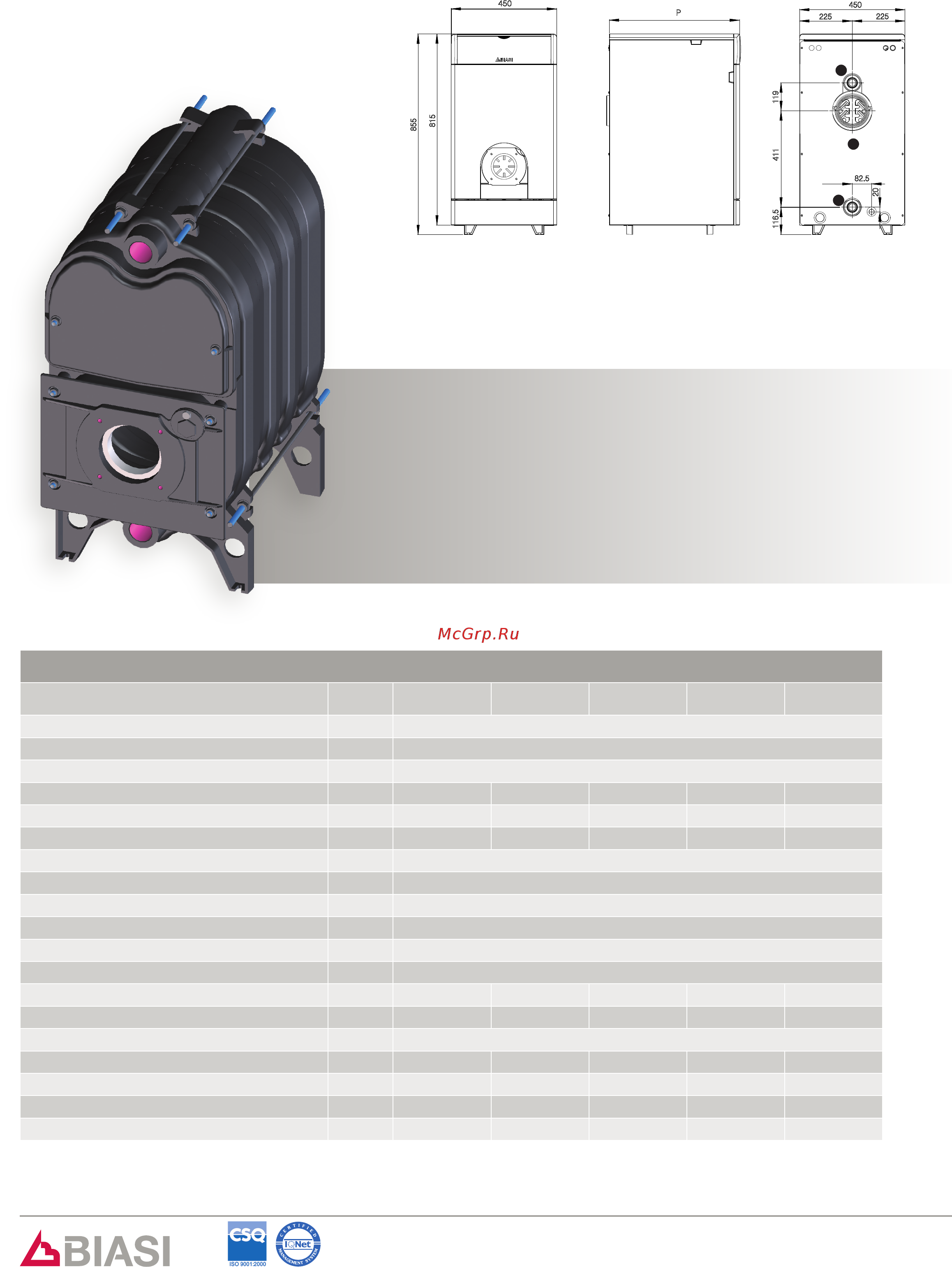 Biasi B30-20 R [2/2] Технические характеристики