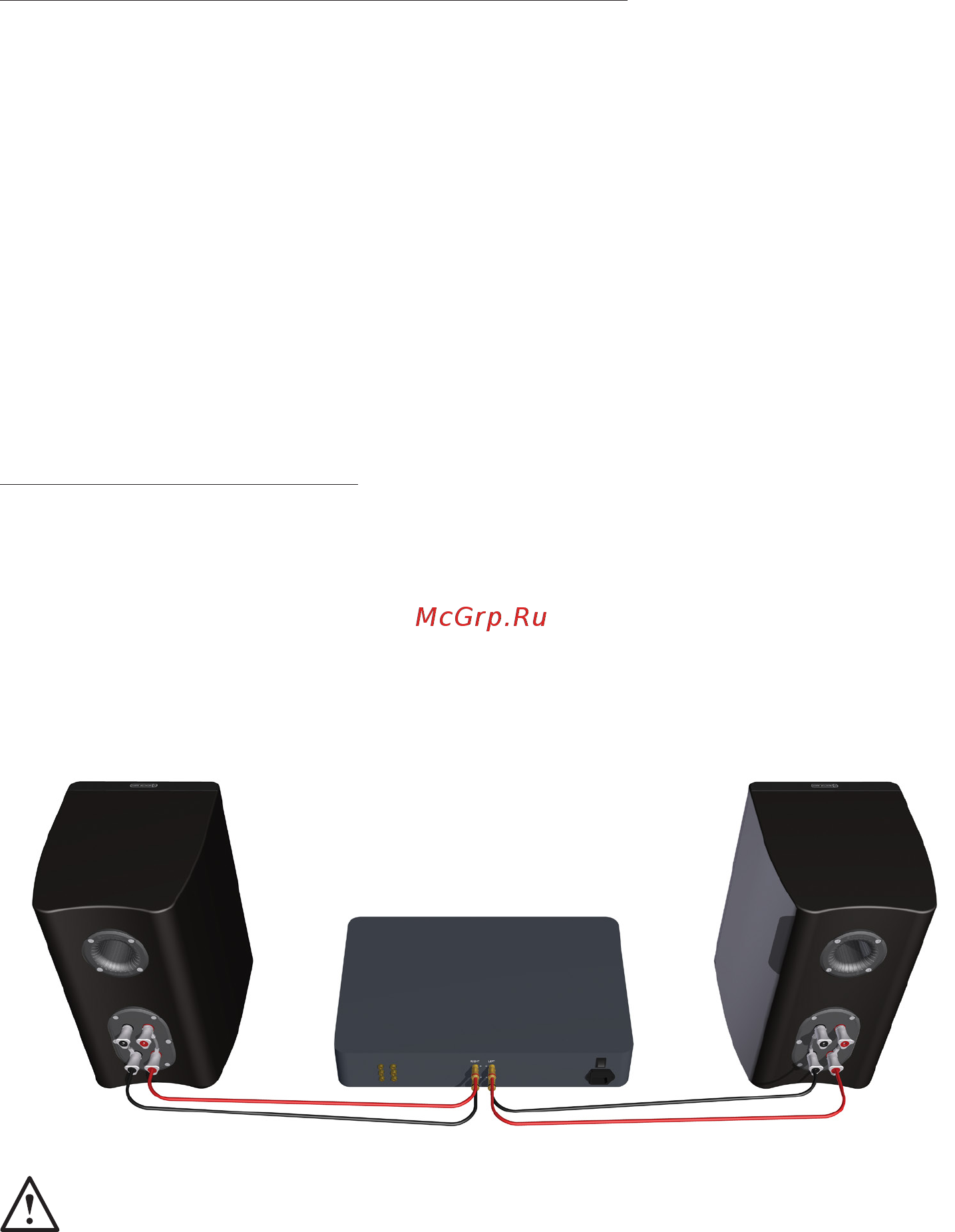 Monitor Audio PL500 II [11/18] Однопроводное подключение