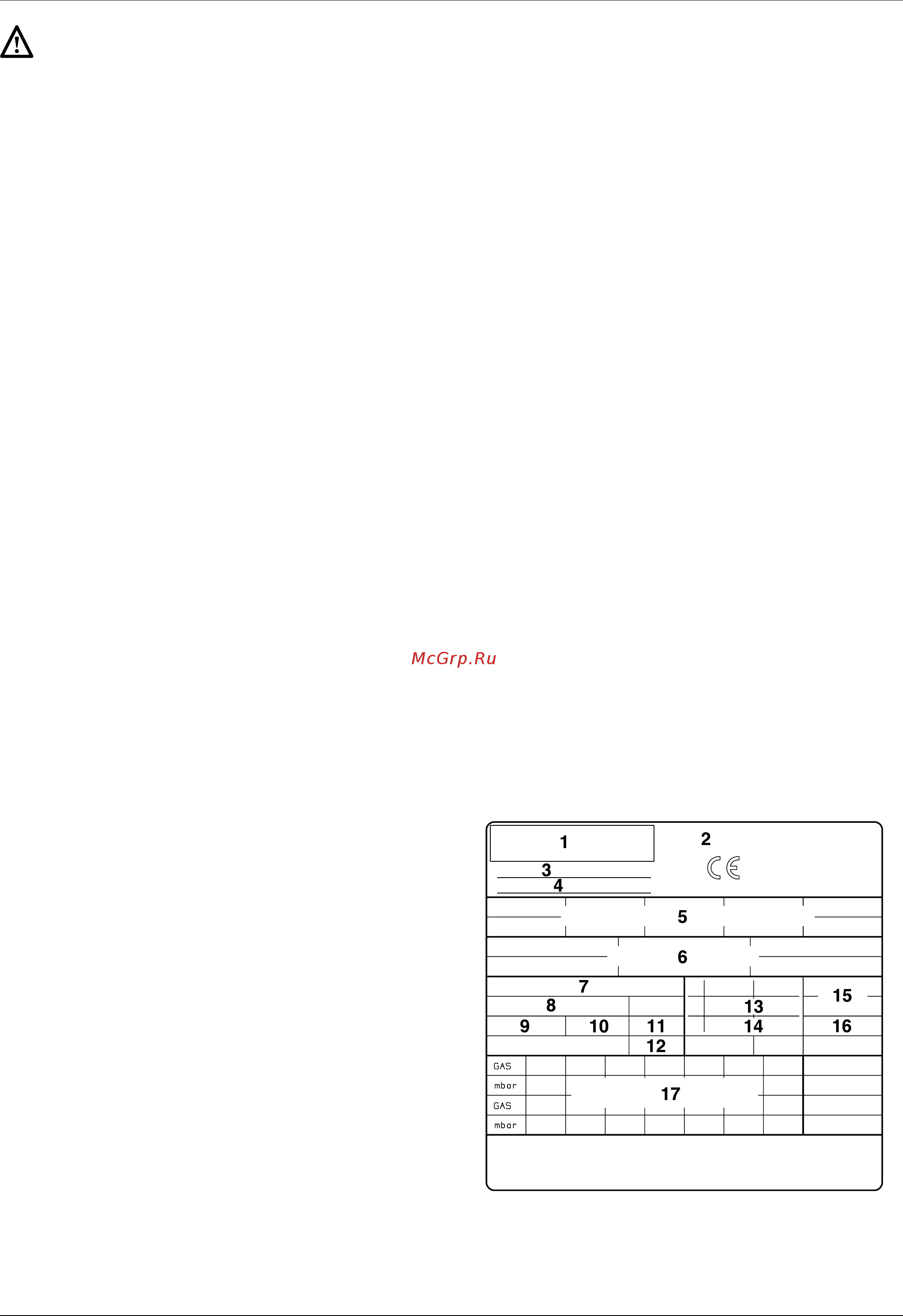Ariston EGIS 24 CF [3/19] Защитные функции
