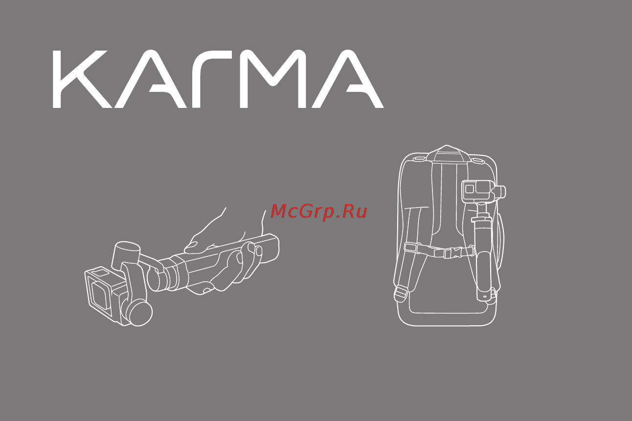 Gopro Karma (с камерой HERO6) (QKWXX-601-EU) [10/17] Стабилизатор