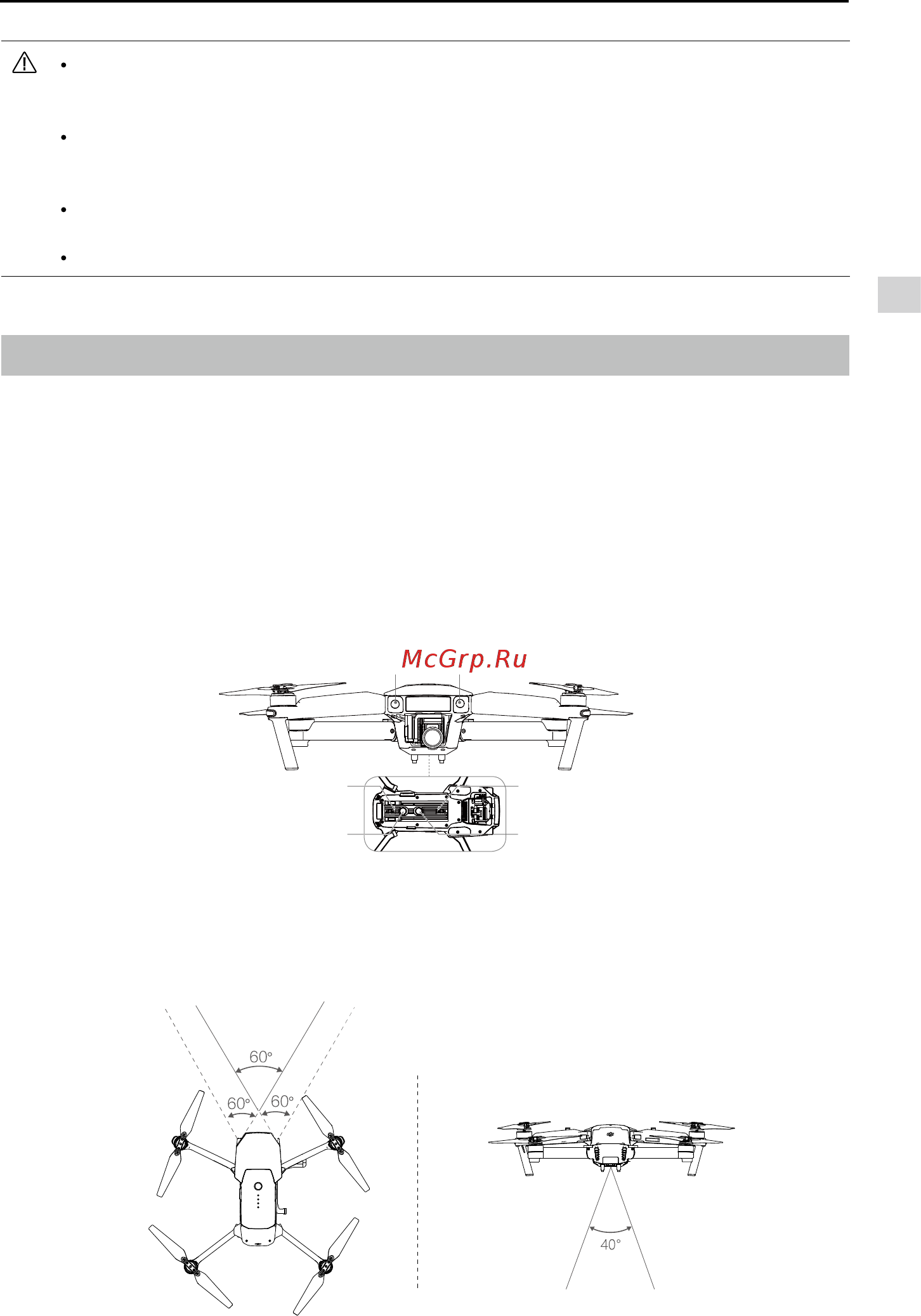 DJI Mavic PRO Platinum [23/64] Системы переднего и нижнего обзора