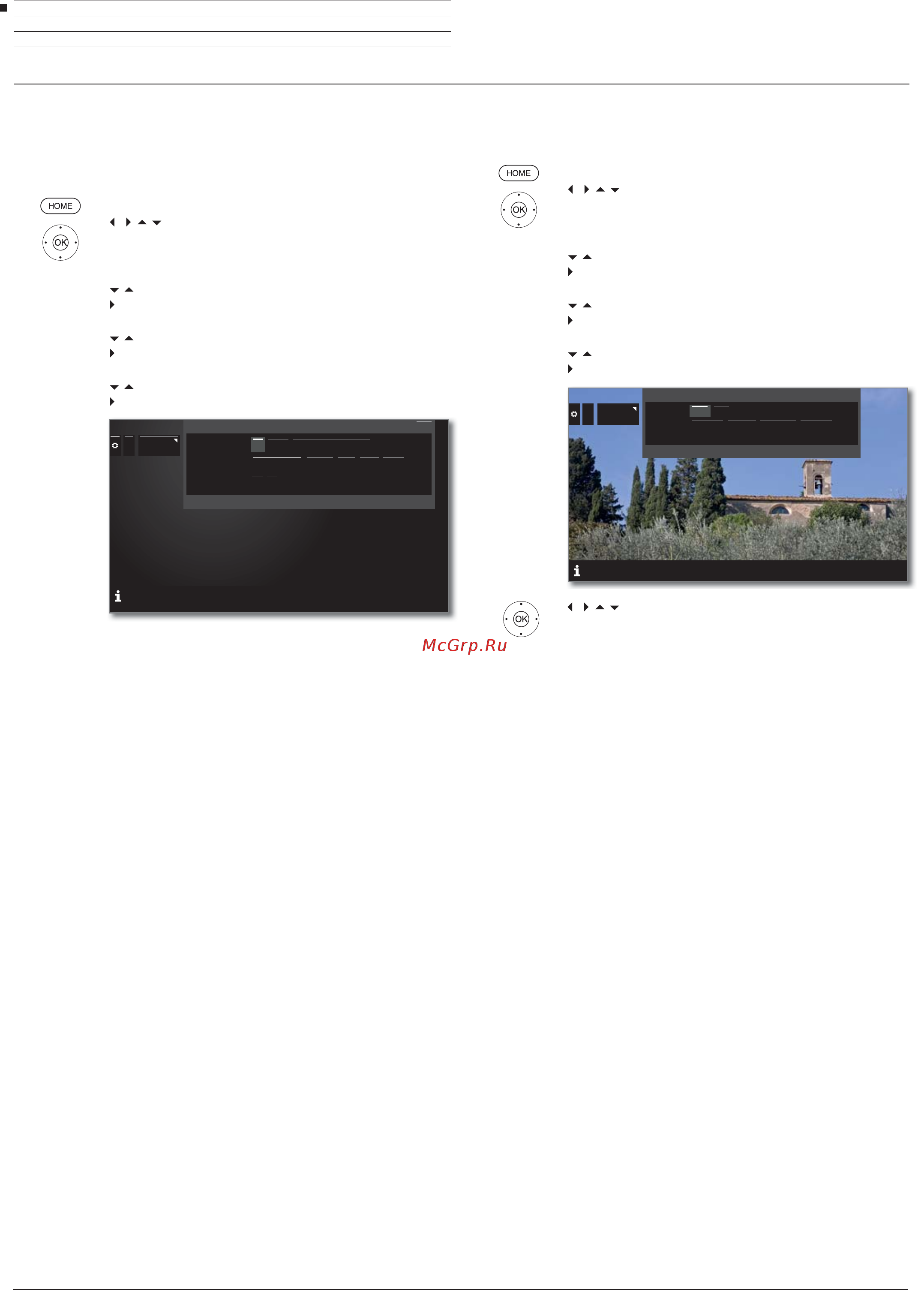 Loewe Bild 9.65 Graphite Grey (56441D50) [101/204] Dvb settings настройки dvb