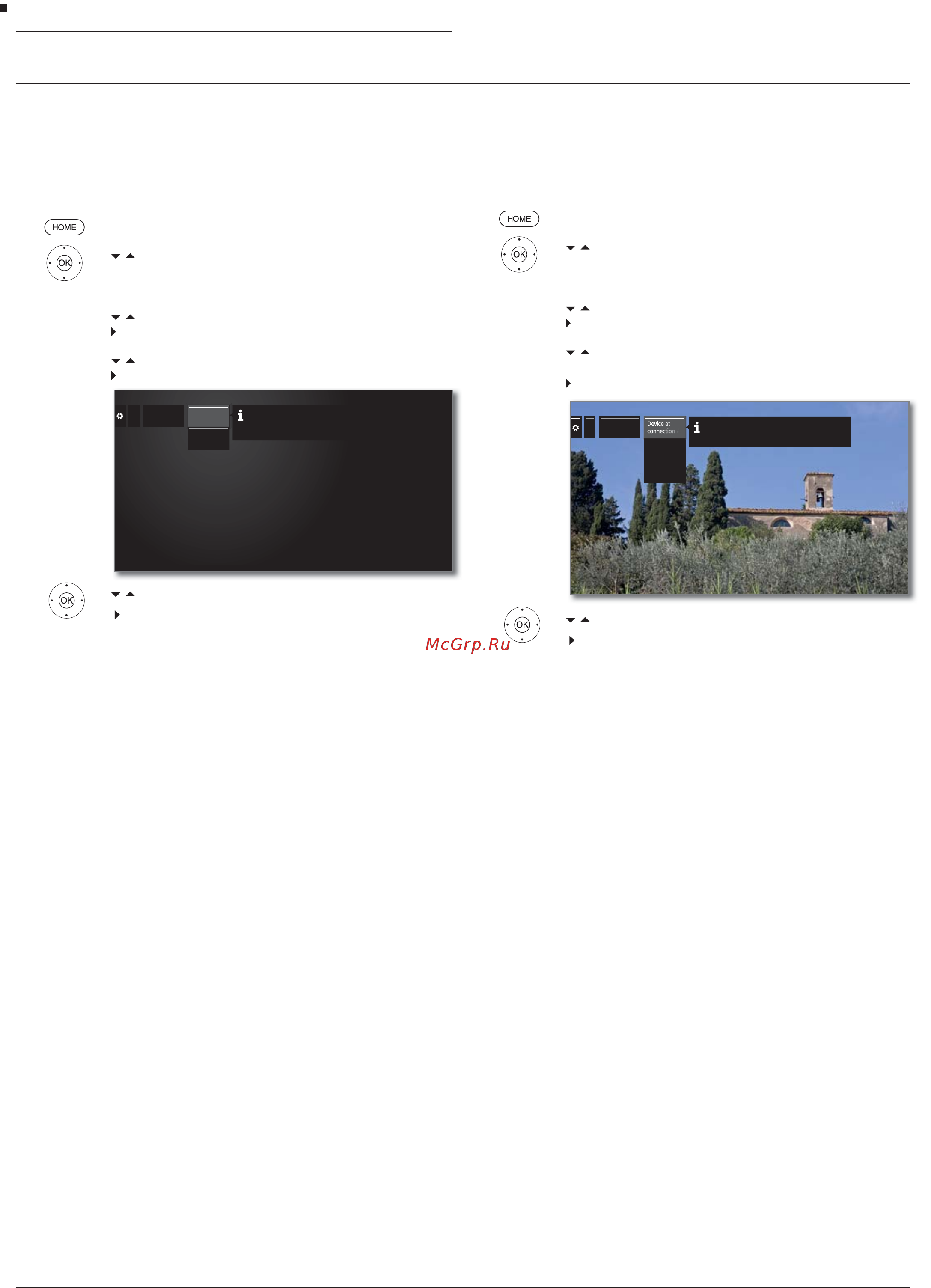 Loewe Bild 9.65 Graphite Grey + FS 9.65 Amber Gold [124/204] Антенна dvb