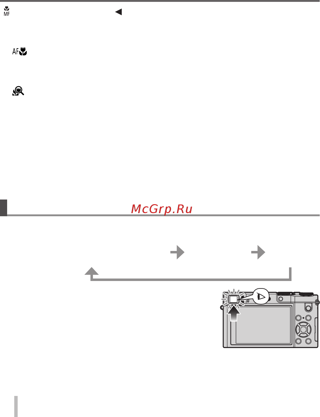 Panasonic Lumix TZ100 Silver (DMC-TZ100EE-S) [20/64] Кнопка lvf