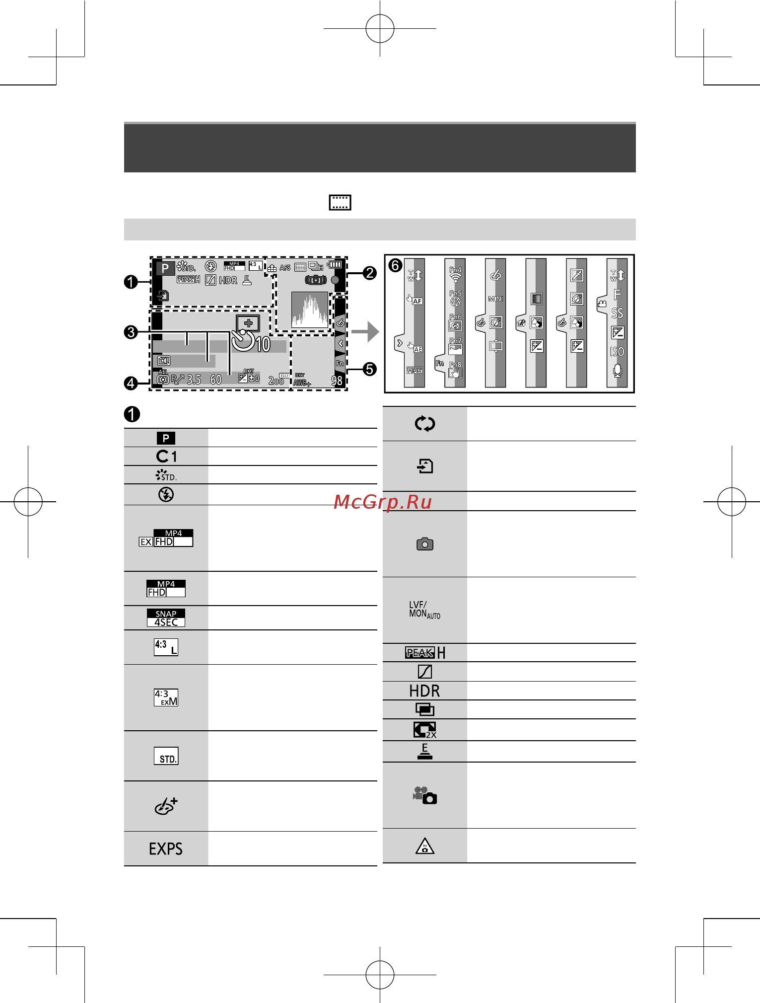Panasonic Lumix GX9 Kit 12-32 Silver (DC-GX9KEE-S) [77/96] Список индикаций дисплея видоискателя
